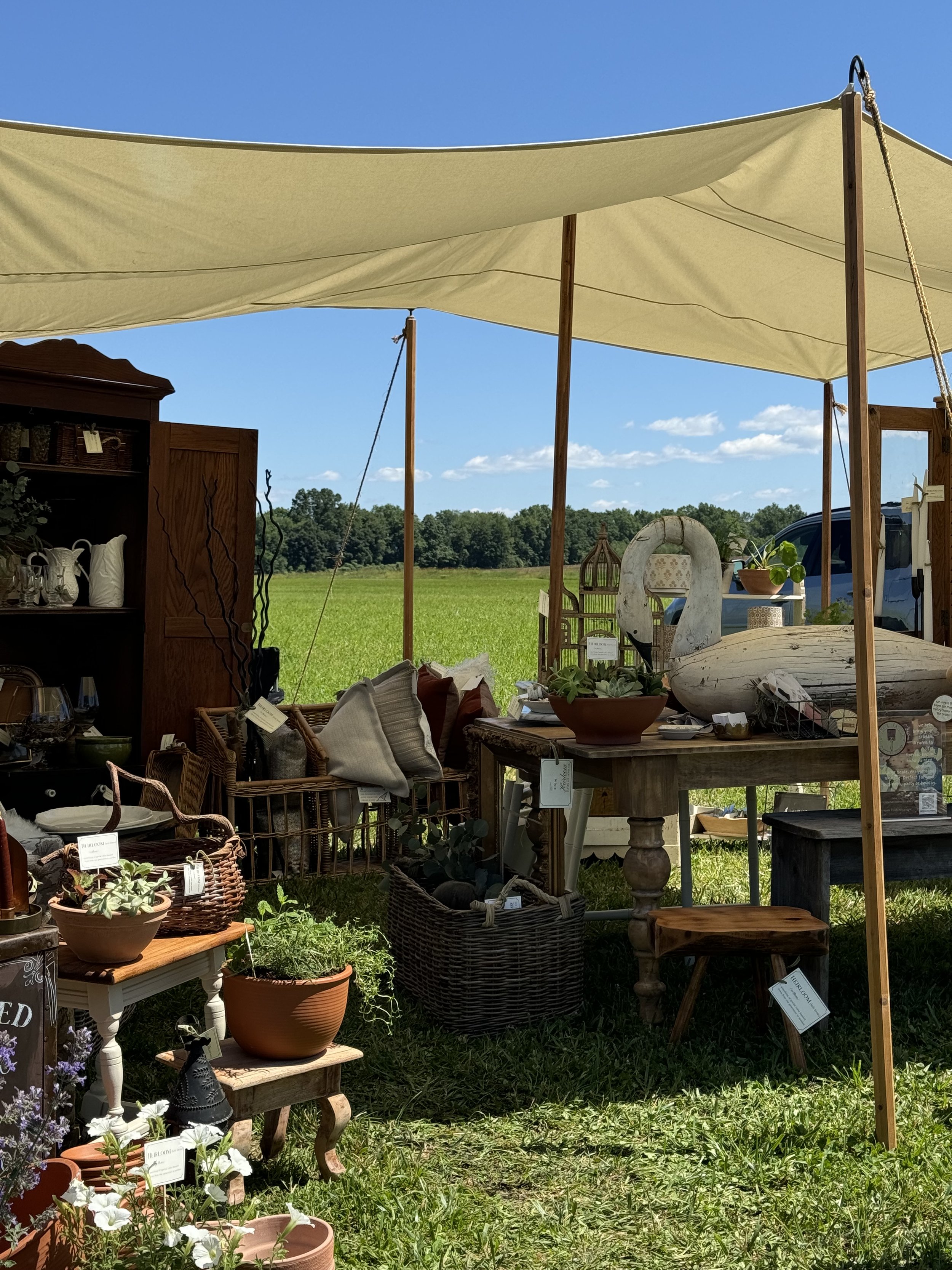 Outdoor market stall under a canopy with vintage furniture, decorative items, and plants on display in a field.