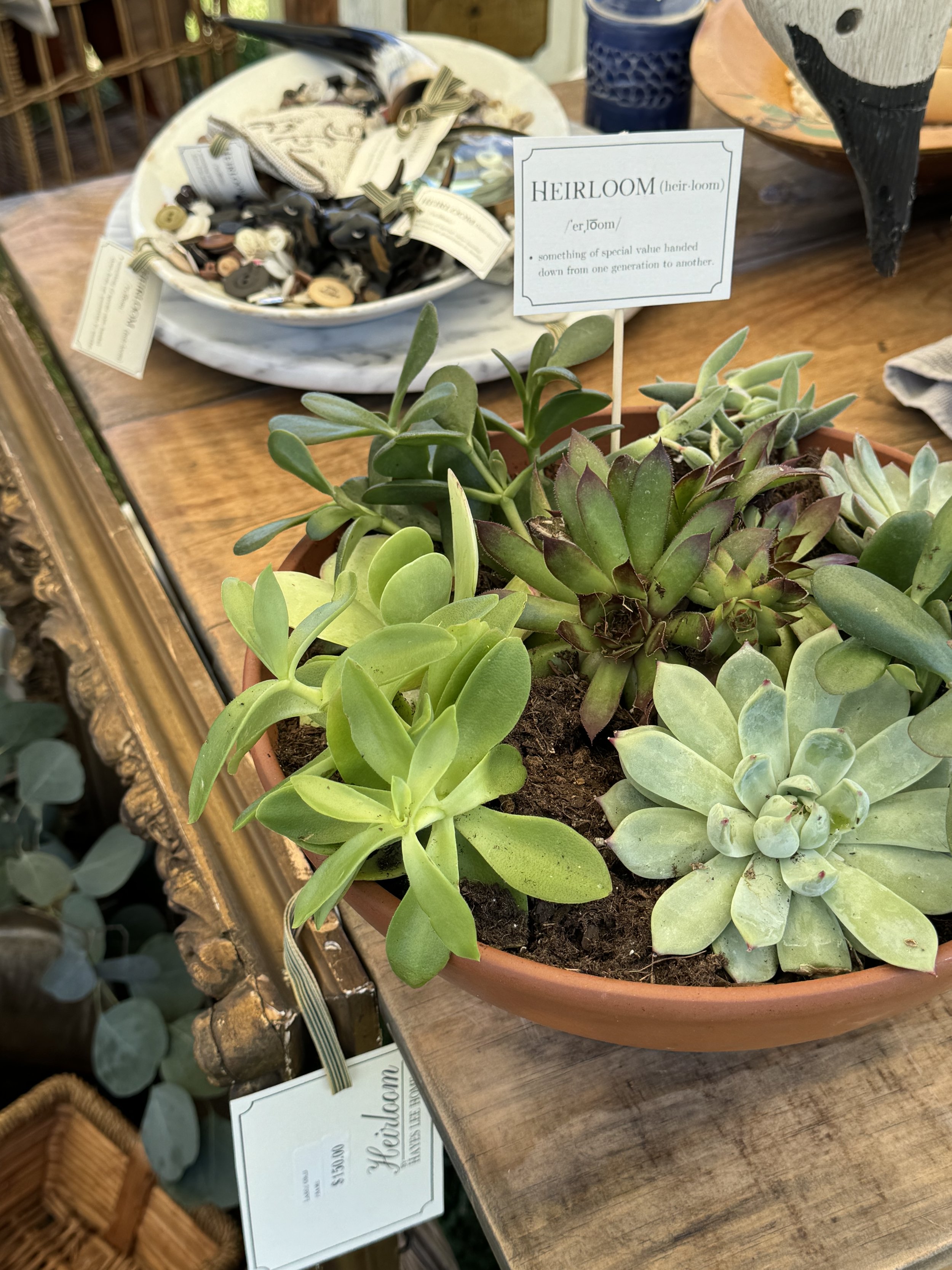 A terracotta pot with a variety of succulents on a wooden table, labeled 'Heirloom,' indicating special value. Nearby is a bowl with assorted tags and items.