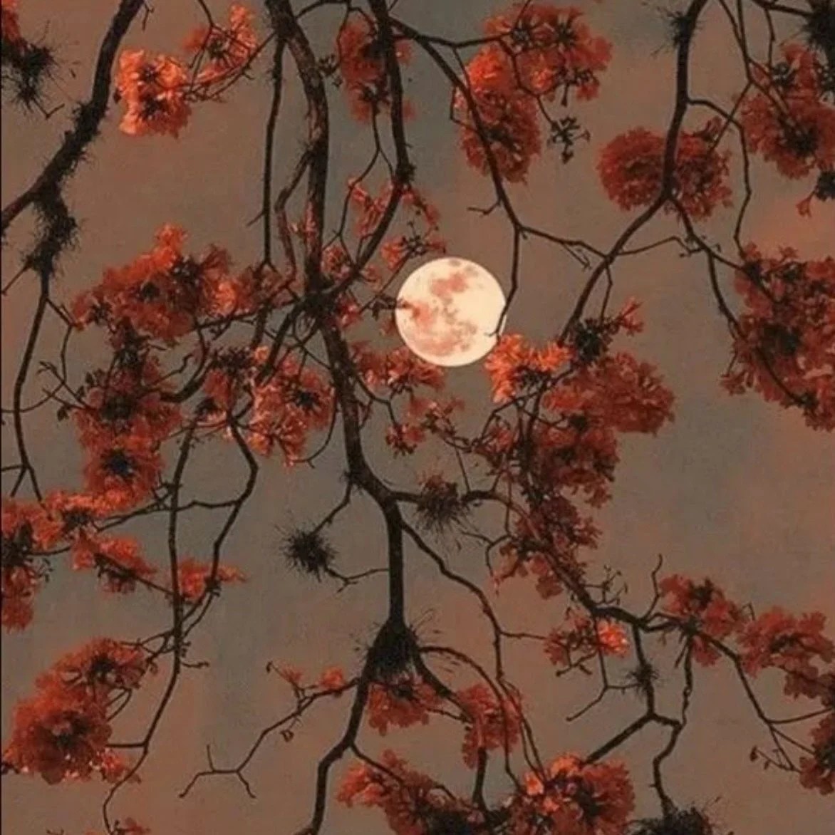 Harvest Moon playlist is live 💫🔥

This Aries energy is fierce, seductive, and boldly authentic ❤️&zwj;🔥 Curated with songs to release pent-up emotions, move your body, and embody endings + new beginnings ✨

(Disclaimer: This one is spicy. To our s