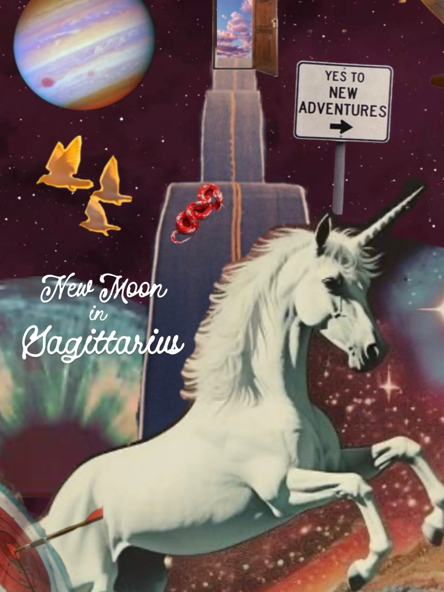 The final New Moon of the year peaks on Dec 19th at 8:43 pm ET 🌚🏹

♐️ When the moon is in Sagittarius, it&rsquo;s expensive, optimistic, and adventurous. This moon asks you to dream your biggest dream- without restriction, fear, or thinking about w