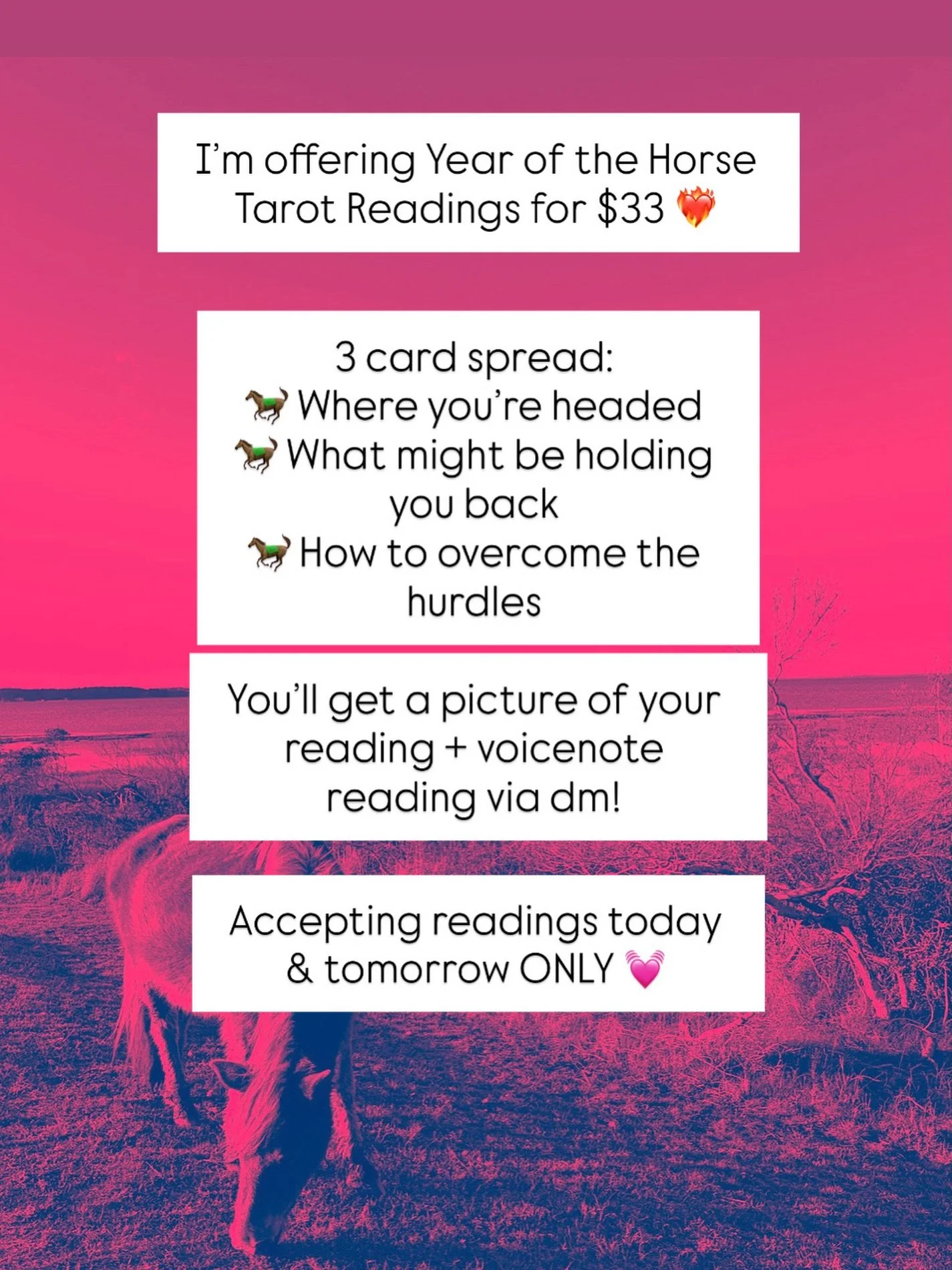 DM for your Year of the Horse reading 🐎❤️&zwj;🔥

Available Wednesday &amp; Thursday ONLY (before we head to CA for a quick birthday escape on Friday) ✈️

For those who&rsquo;ve been following our kitten rescue journey, the dog days (and surprise ve