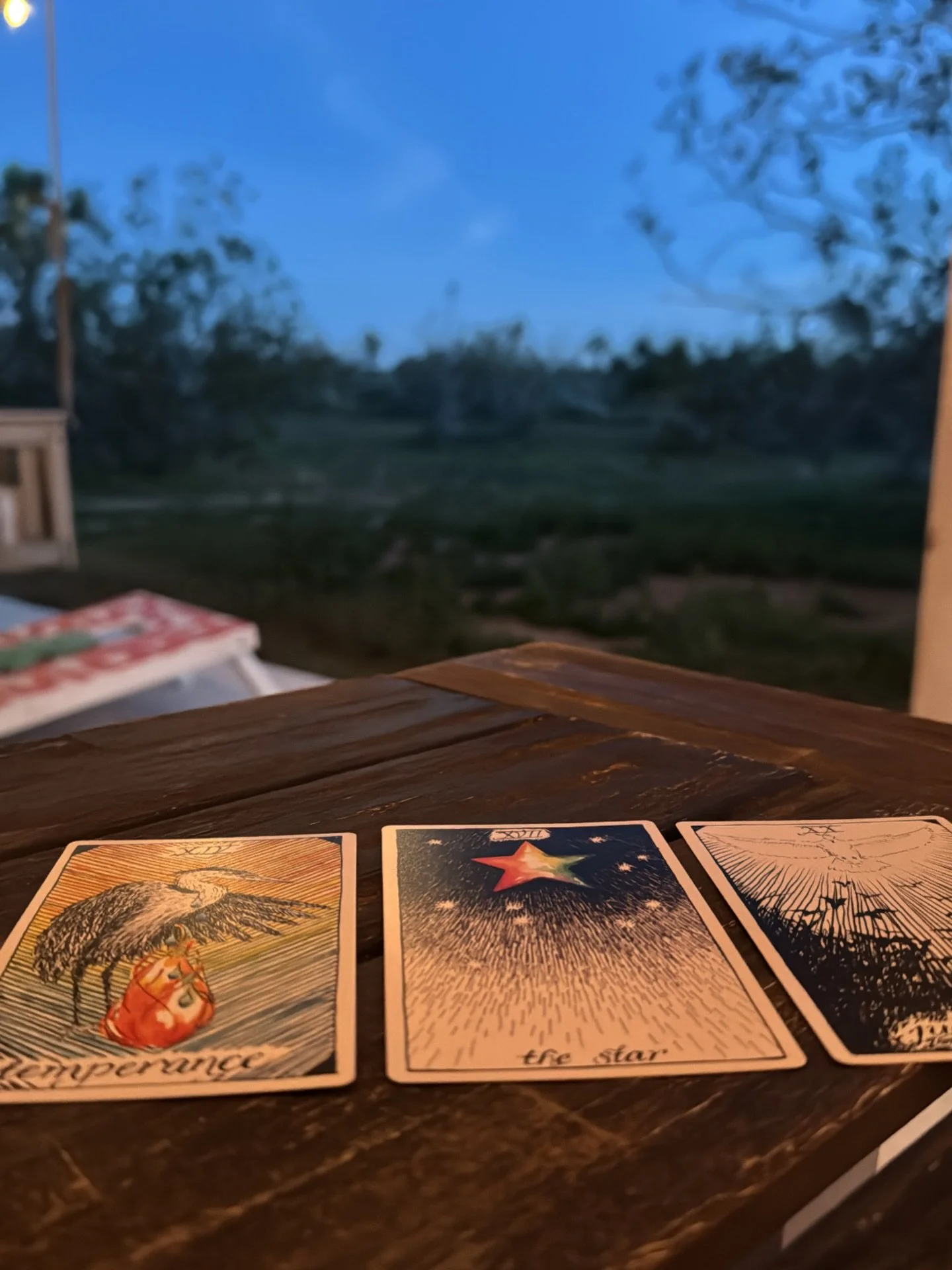 birthday spread from the desert 🏜️

Joshua Tree has been truly magical, the desert really is a vortex of good energy. Headed to LA for the next couple days for a change of pace and to dip our toes into the Pacific 🌊

Do you have a go-to birthday ri