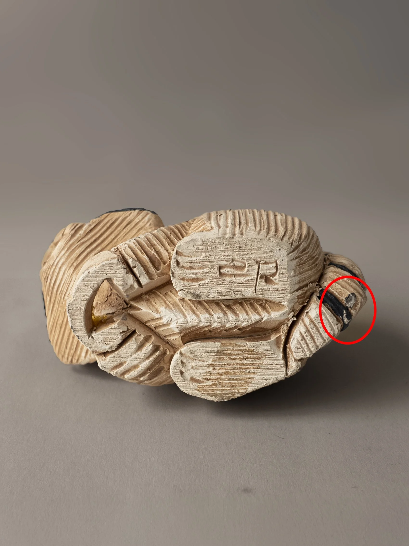 Artesania Rinconada Raccoon #60