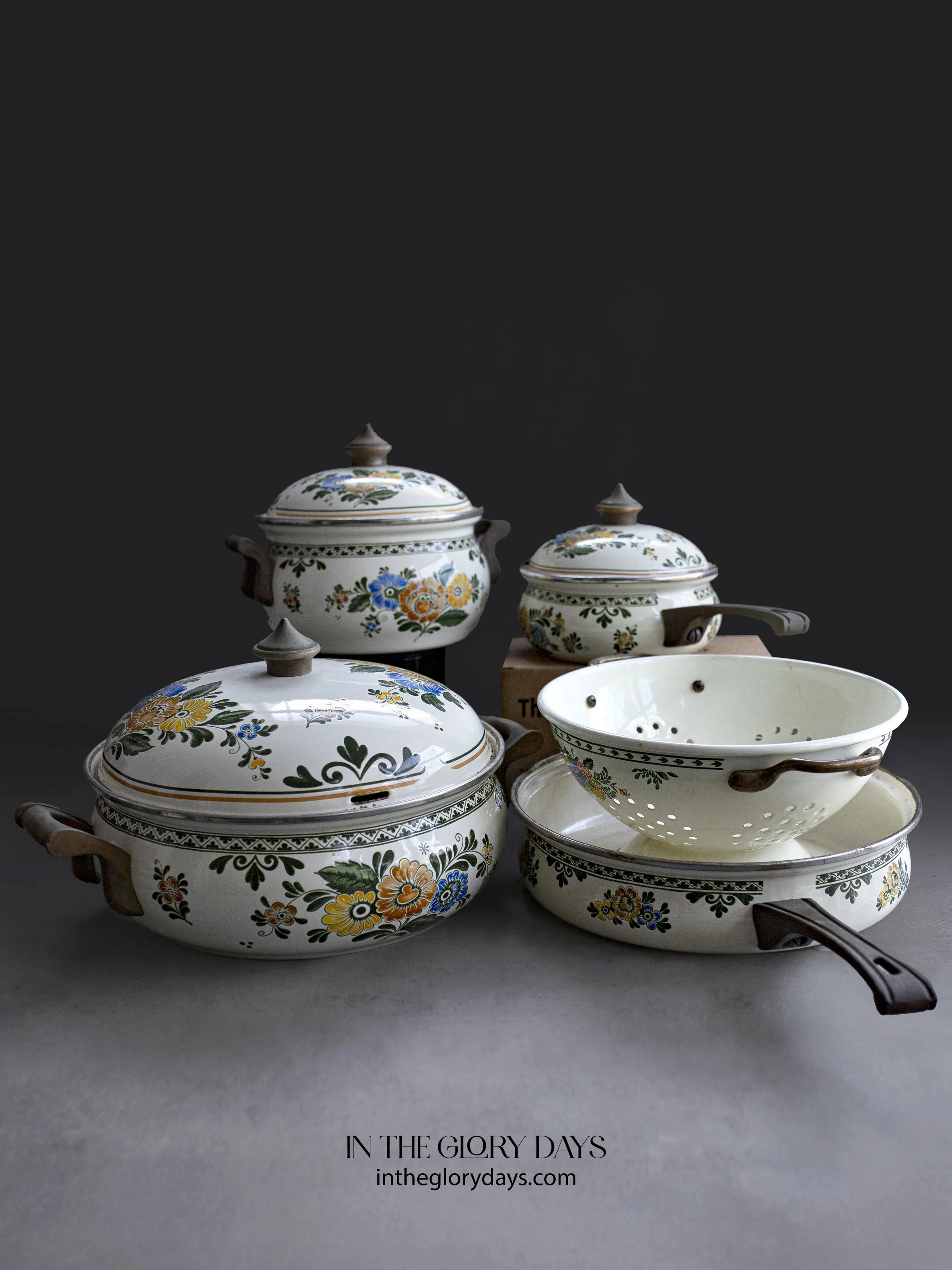 Vintage ASTA German Enamel Cookware 7 Pieces Floral Set (Colander is not included)