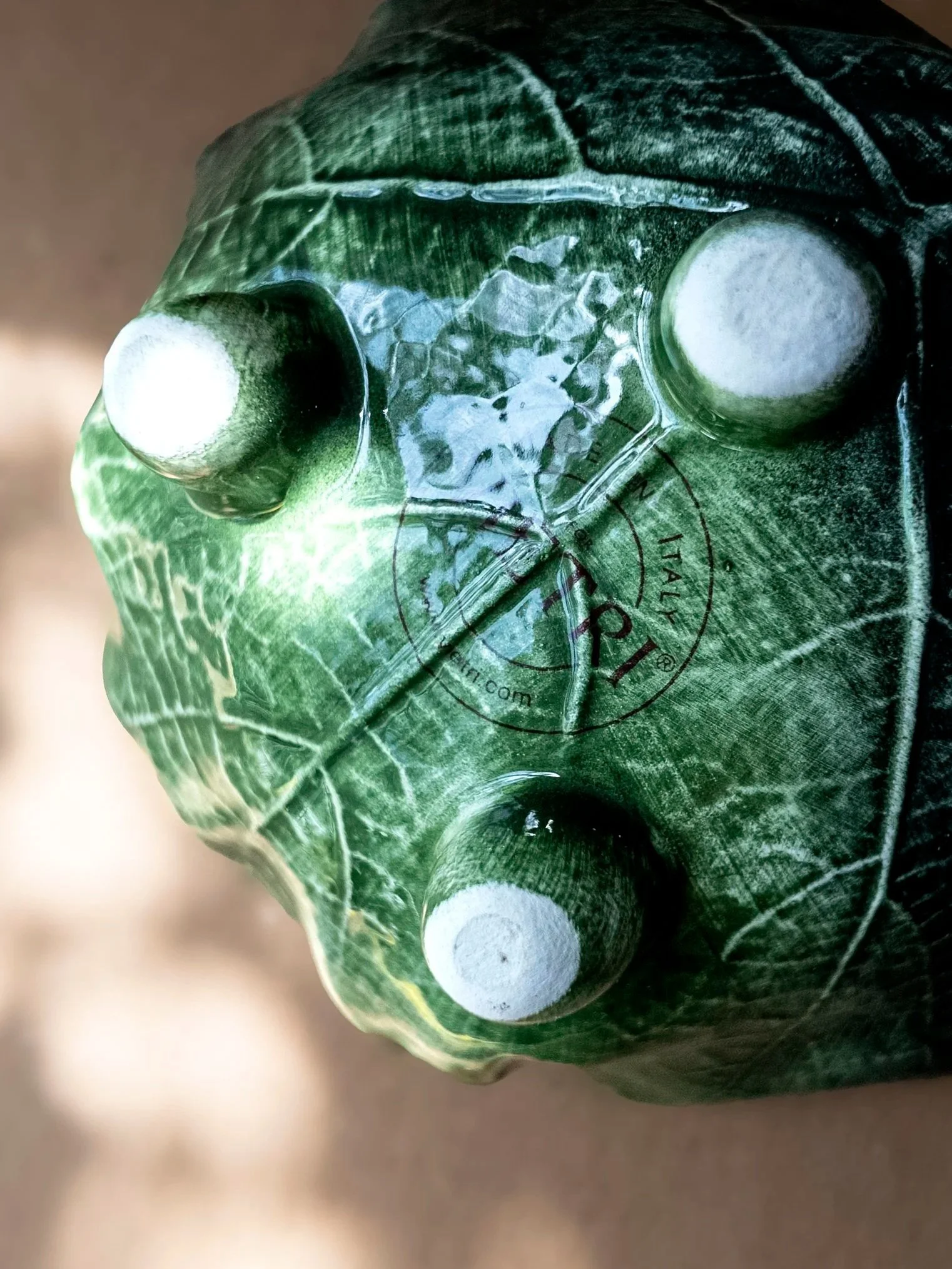 Signed Vietri Foglia Fresca Bowls