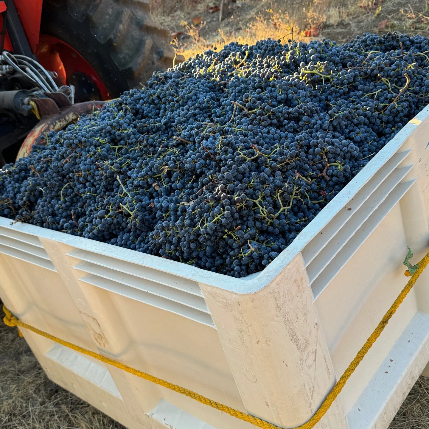 2023 Harvest