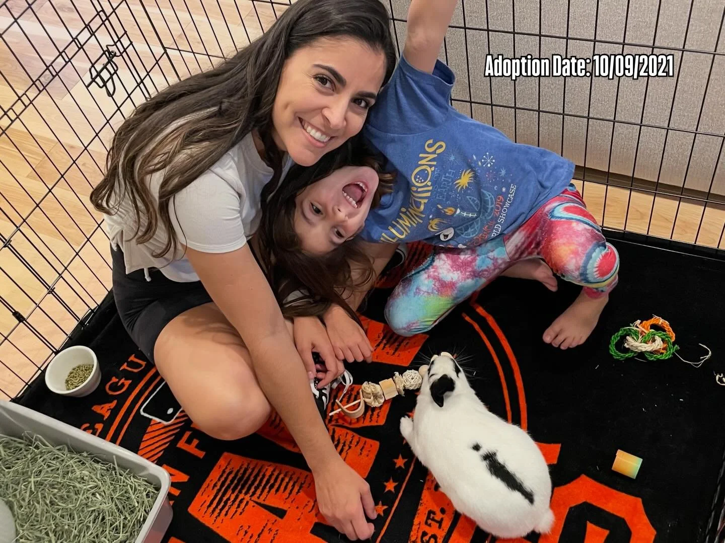 Yesterday we said goodbye to our bunny, Poppy. 🐰

It&rsquo;s strange how something so small can leave such a big space behind.

Today the house feels quieter.

We already miss the little sounds, the soft hops across the floor, the scratches in the f