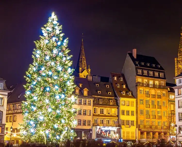 A large, illuminated Christmas tree decorated with white and blue lights, situated in a town square at night, with historic buildings and a church steeple in the background.