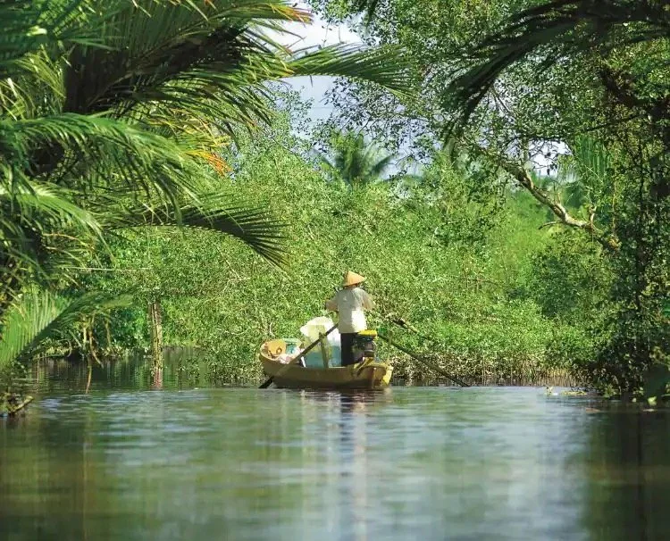 A person in a traditional straw hat fishing from a small boat in a lush, green river surrounded by dense tropical trees and vegetation.