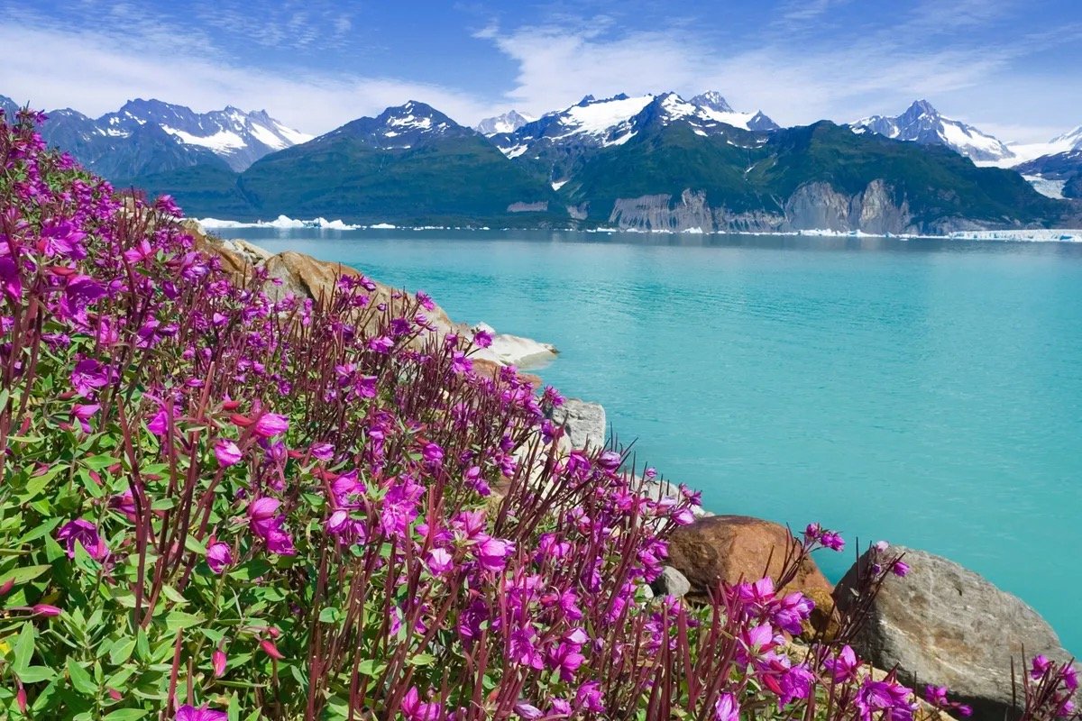 ALASKA & INSIDE PASSAGE
11 Days | Canada, United States
This Itinerary Sails: May - Sep 2025, May - Sep 2026, May - Sep 2027
From $4,999/pp