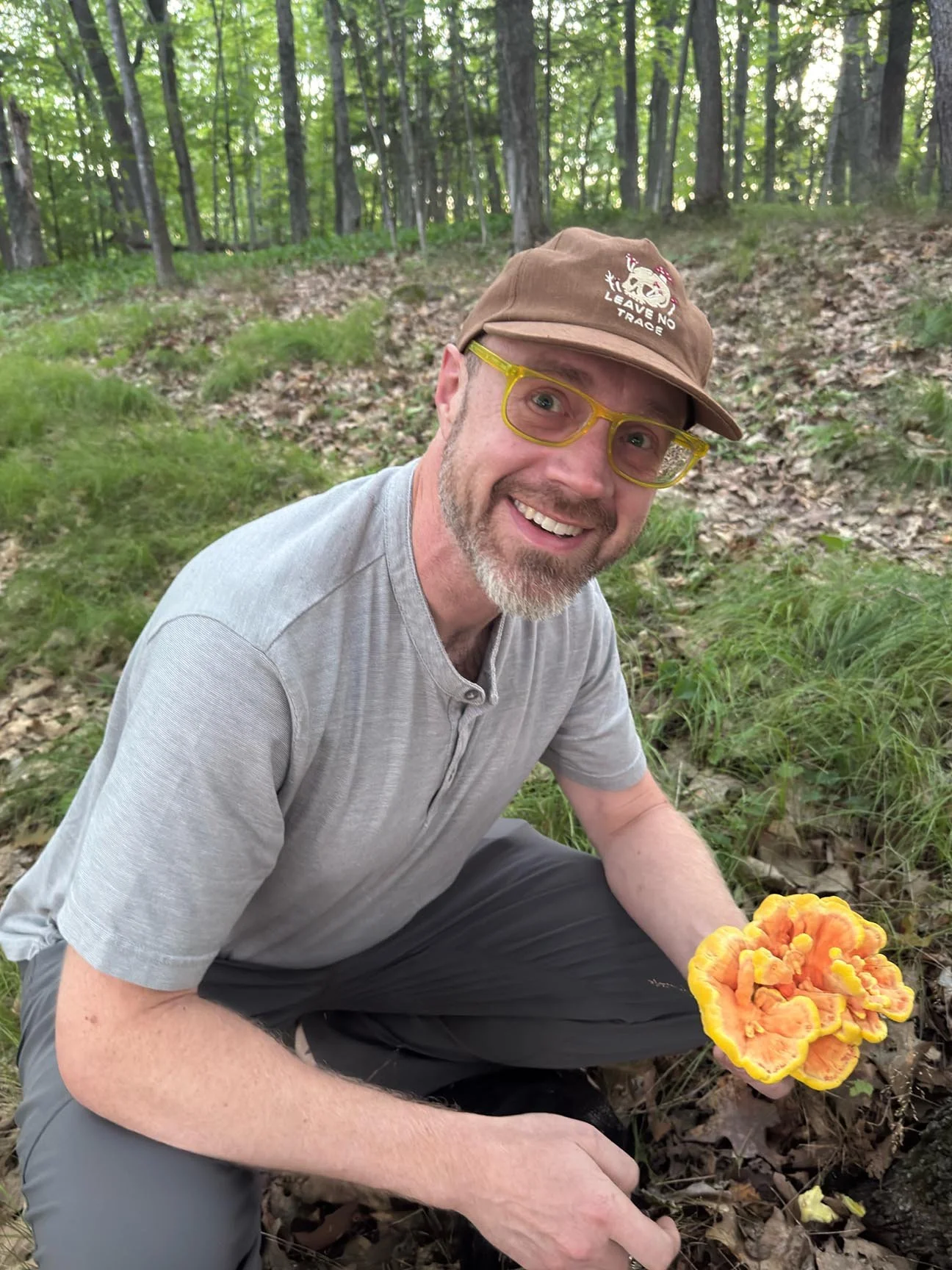 Foraging Laetiporus sulphureus chicken-of-the-woods Duluth, MN mushrooms Darren Houser