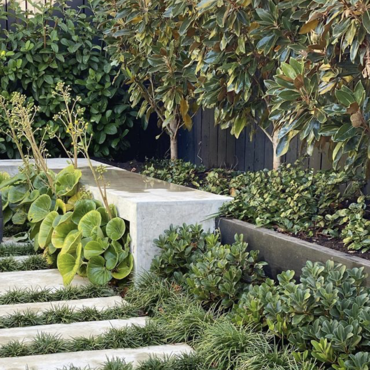 Modern outdoor patio with concrete steps, desert landscaping featuring cacti and succulents, and a large beige sectional sofa with cushions.