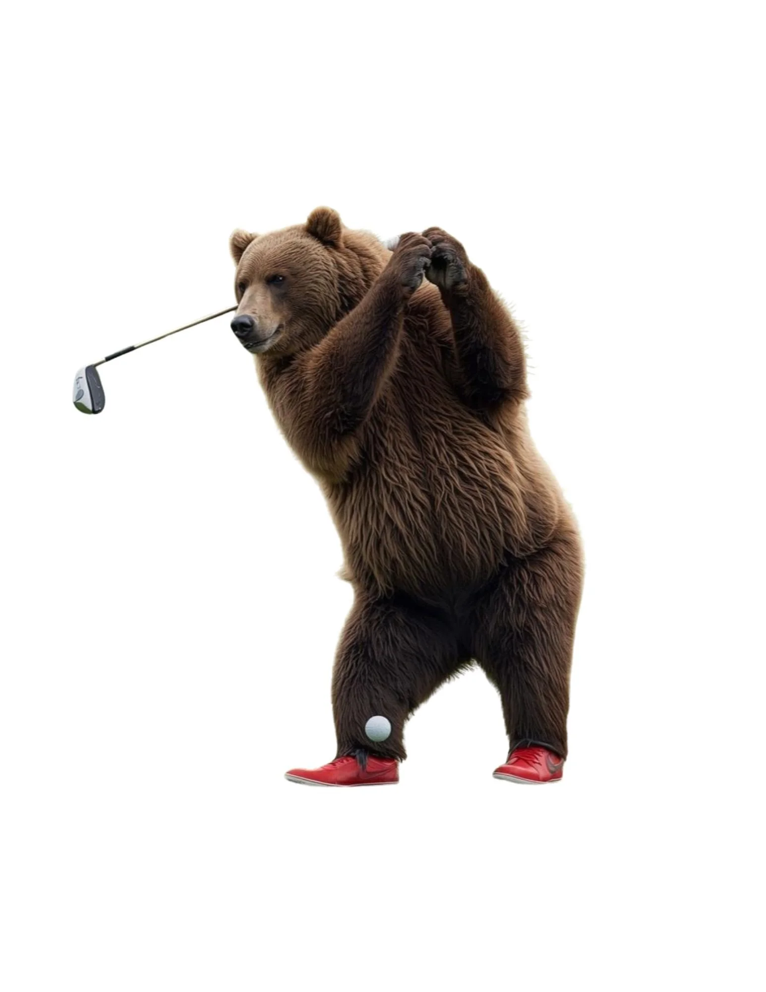 Ashland High Alumni GRIZZ GOLF CLASSIC