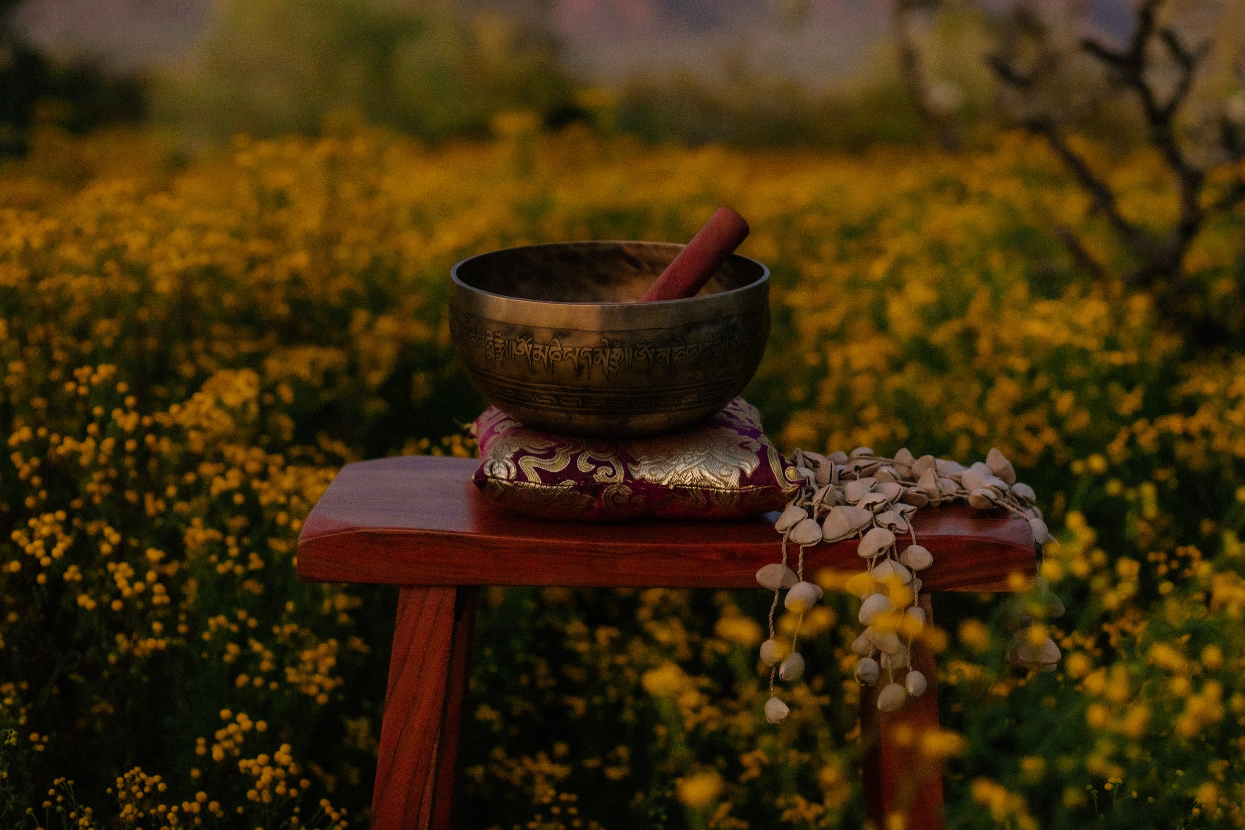 Sound bath for Elders