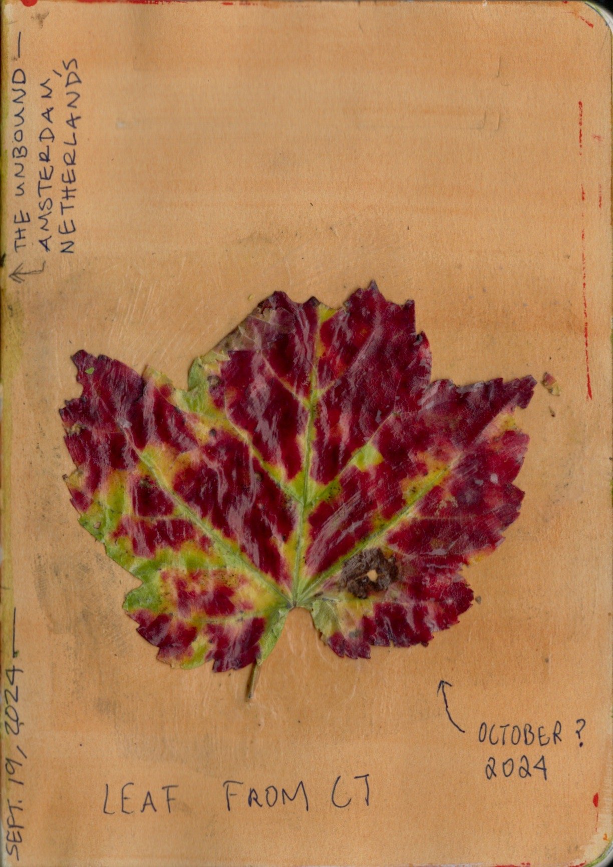 unbound_leaf_nov11_right.jpeg