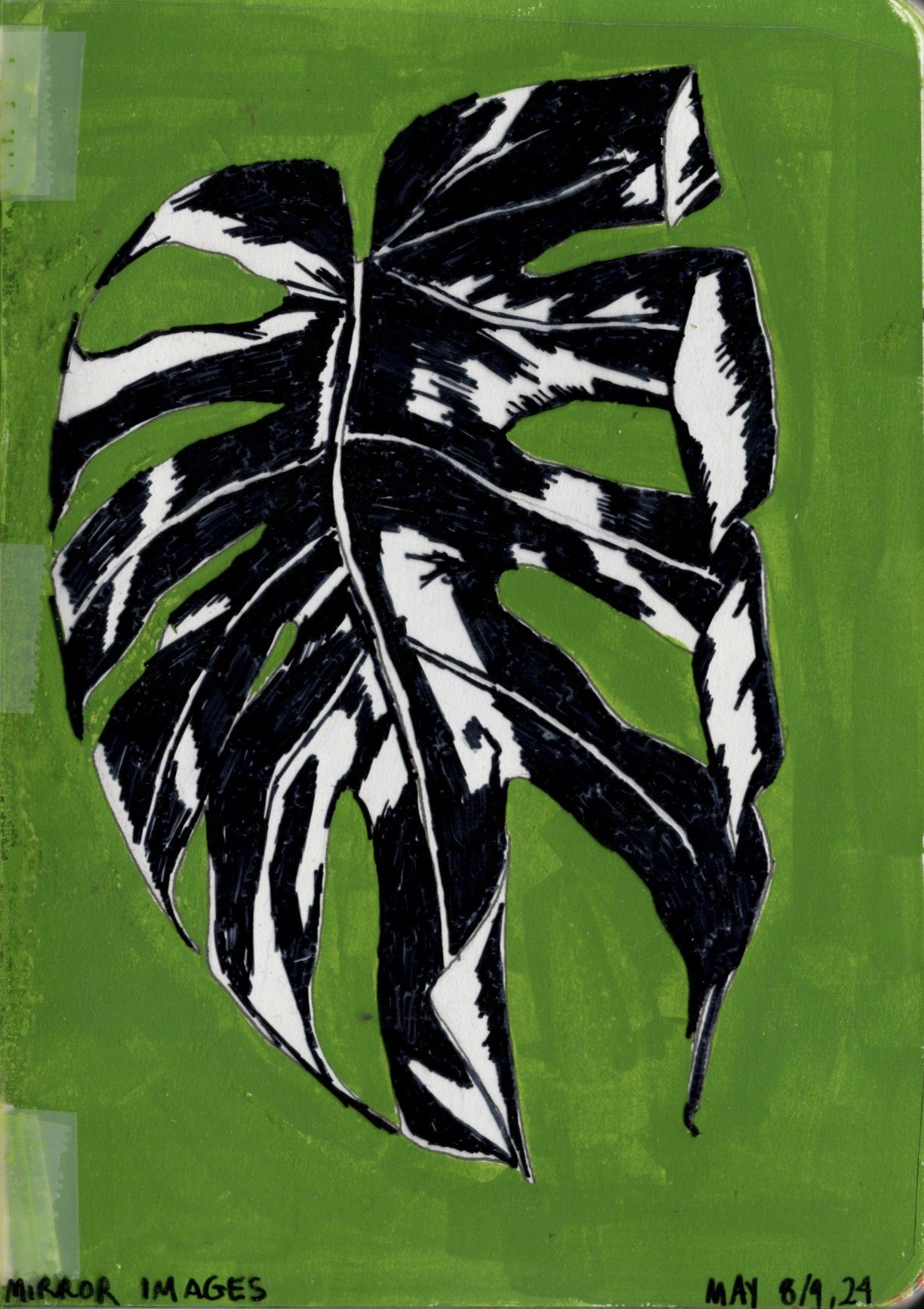 may9_single_green.jpeg