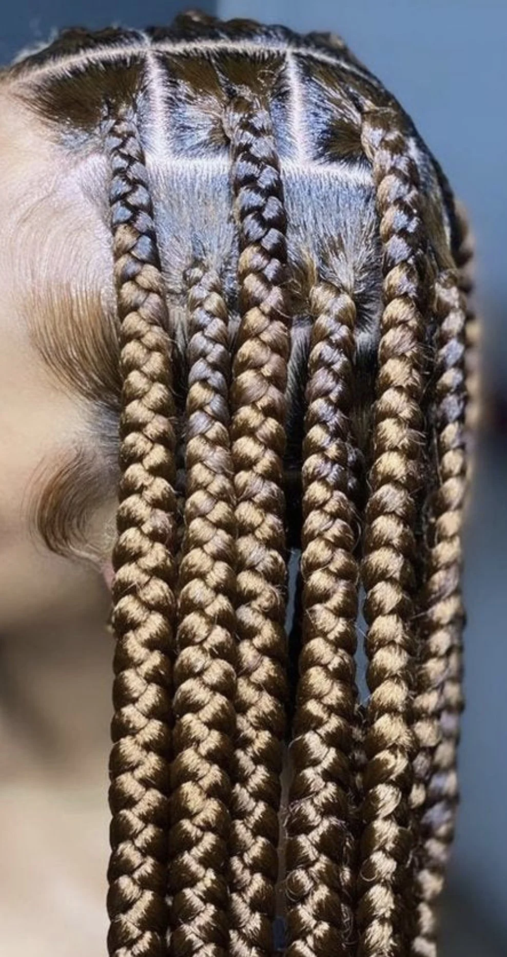 Close-up view of a person's neatly styled, tightly braided hair with alternating light and dark brown colors.