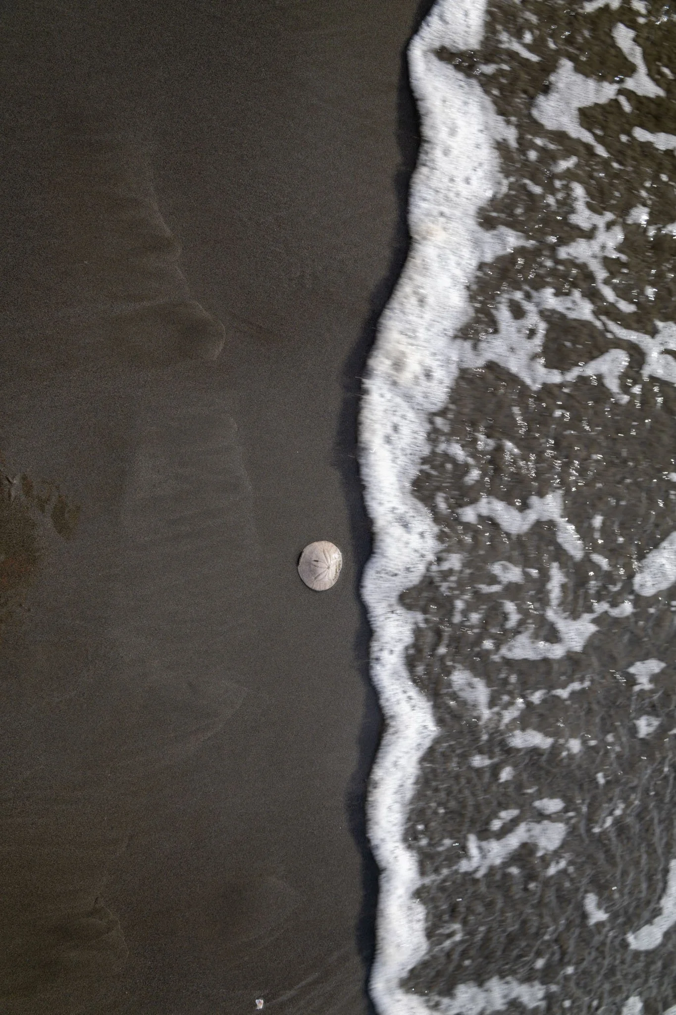 Visual Vantage Media - Low Res For Site-41.jpg