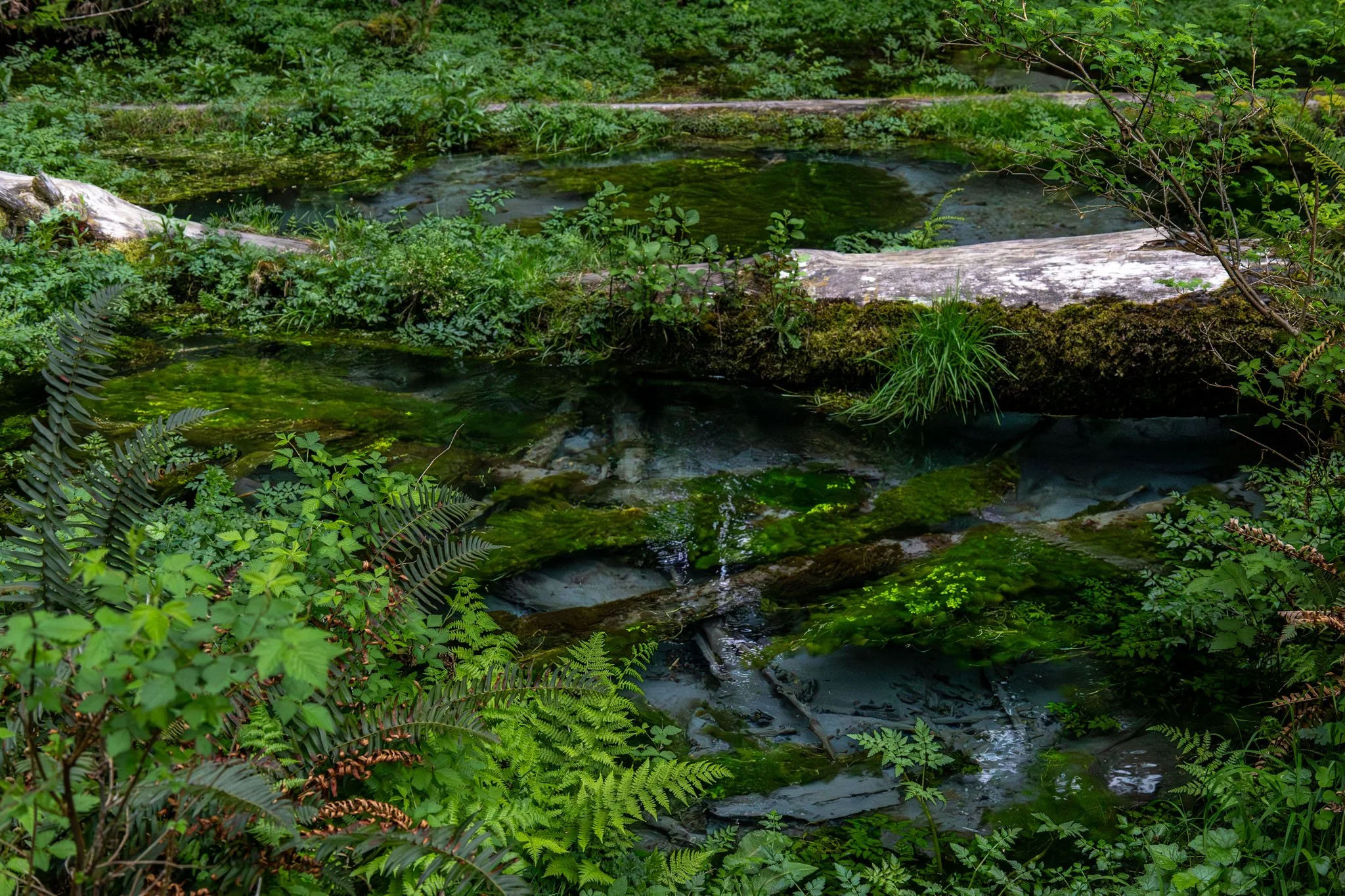Visual Vantage Media - Low Res For Site-36.jpg