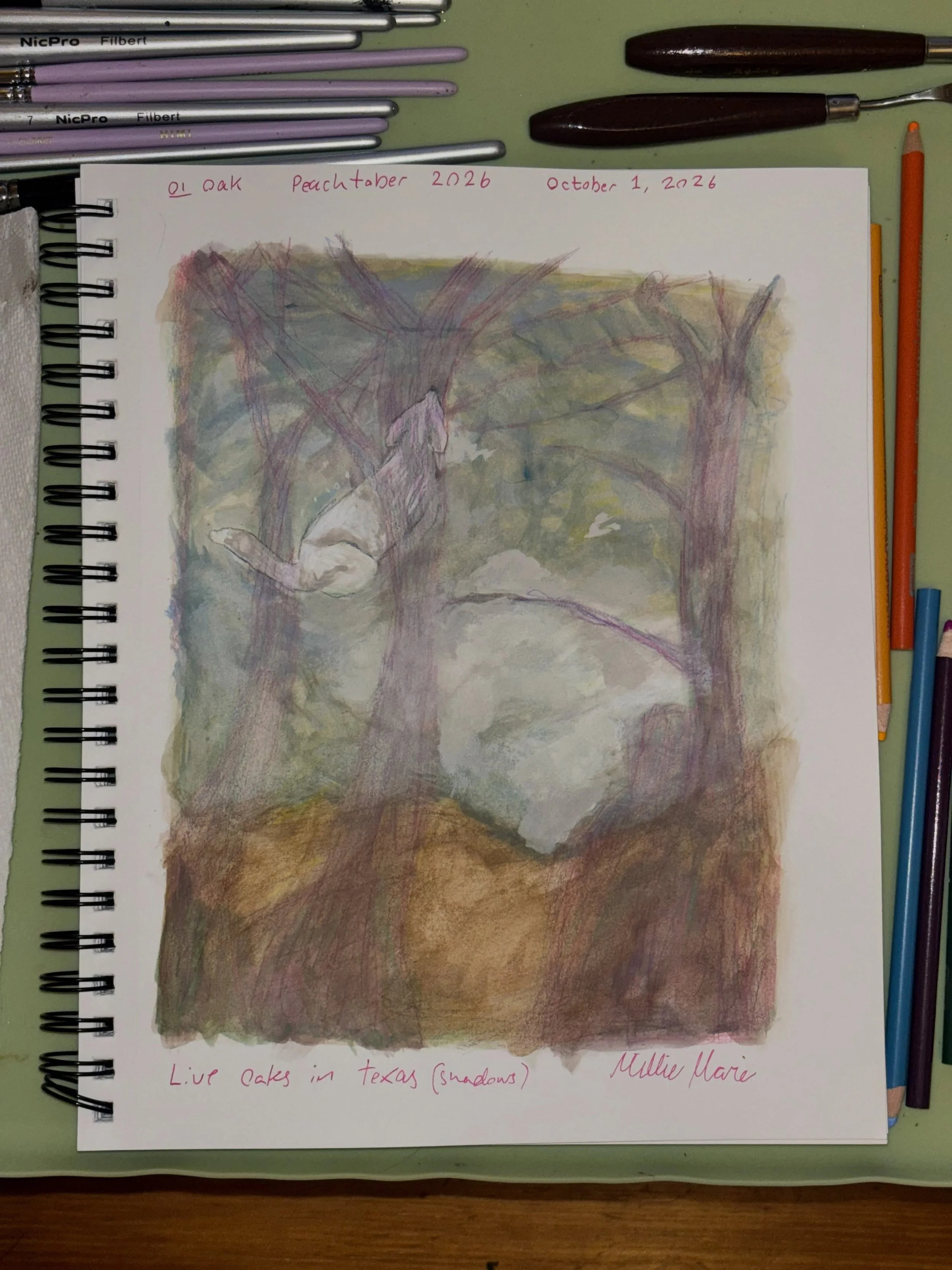 Happy October! 

I decided to do @peachtober and for  day 1 Oak I immediately thought of my mother-in-law&lsquo;s land in Texas in the hill country with all the live oak trees. I was looking through photos and videos and had this video of little Miss