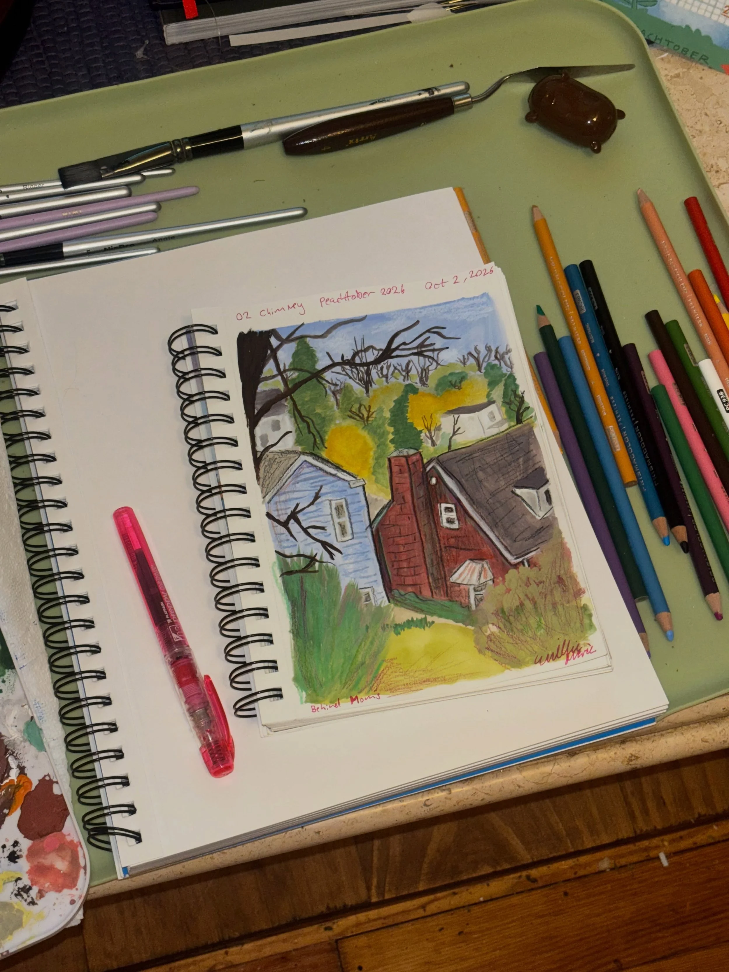 Day 2 🤩 chimney 

This is a view from behind my mother&rsquo;s house. 

#peachtober26 #peachtober26chimney