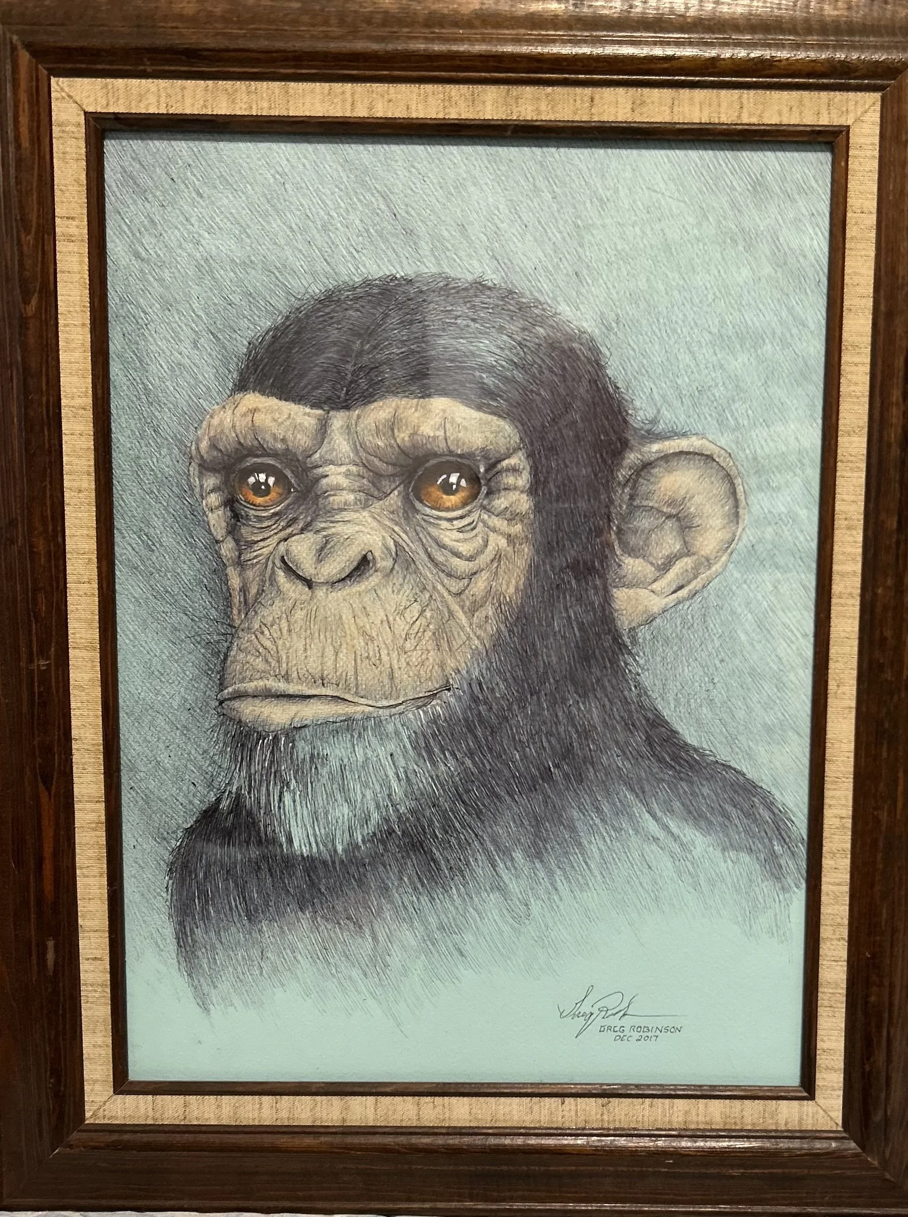 "Chimp Chump" - CP/Ink - 16x20