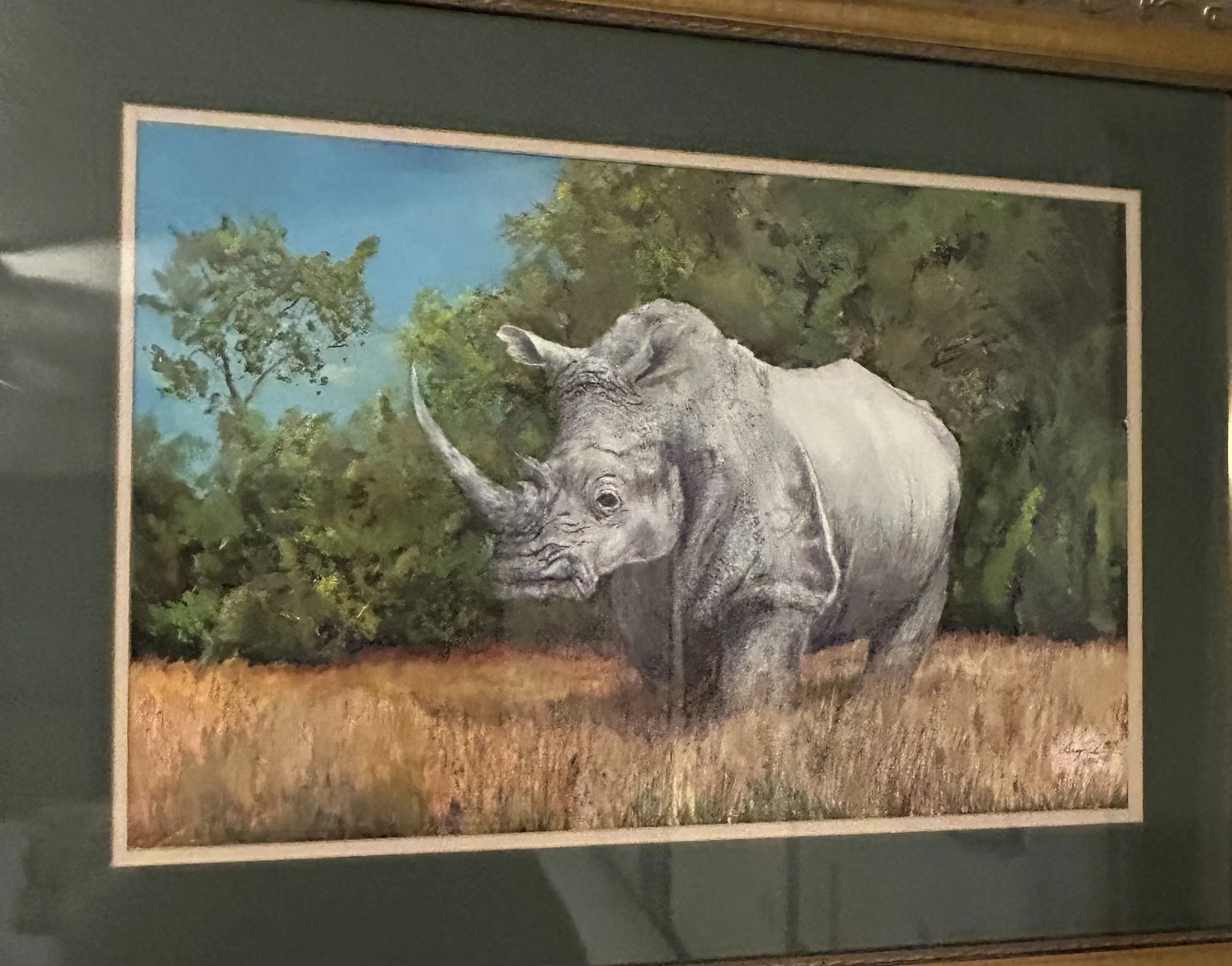 "White Rhino" - ACR/CP/Pen - 29 1/2 x 22