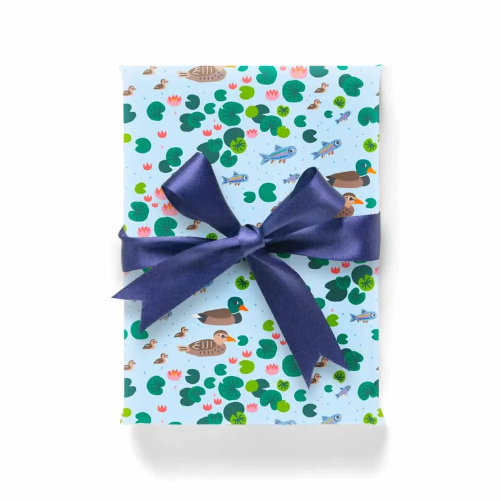 Mallard Ducks and Rainbow Trout