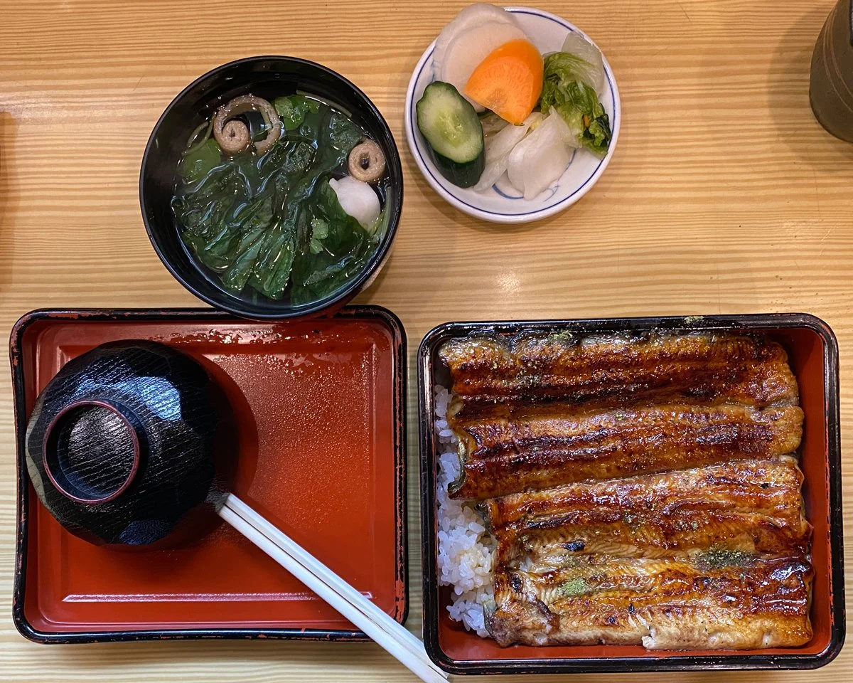 Grilled eel over rice