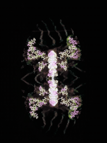 Nana Kawabata installation