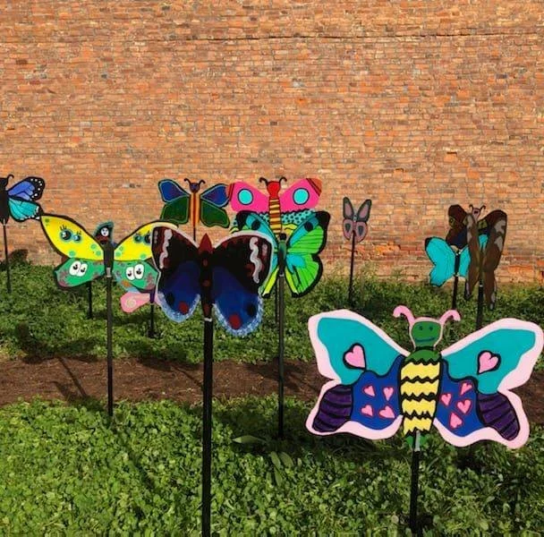 Butterfly art exhibit.jpeg