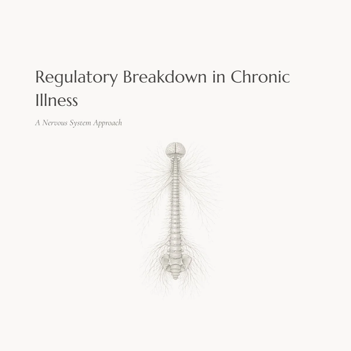 Regulatory Breakdown in Chronic Illness | A Nervous System Approach