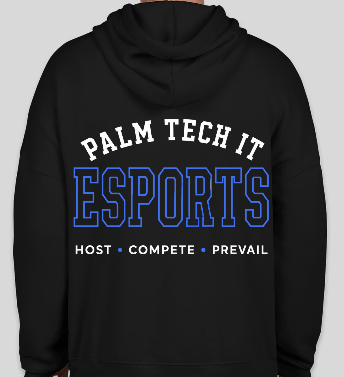 Palm Tech IT Esports Classic Hoodie Back Sample.png