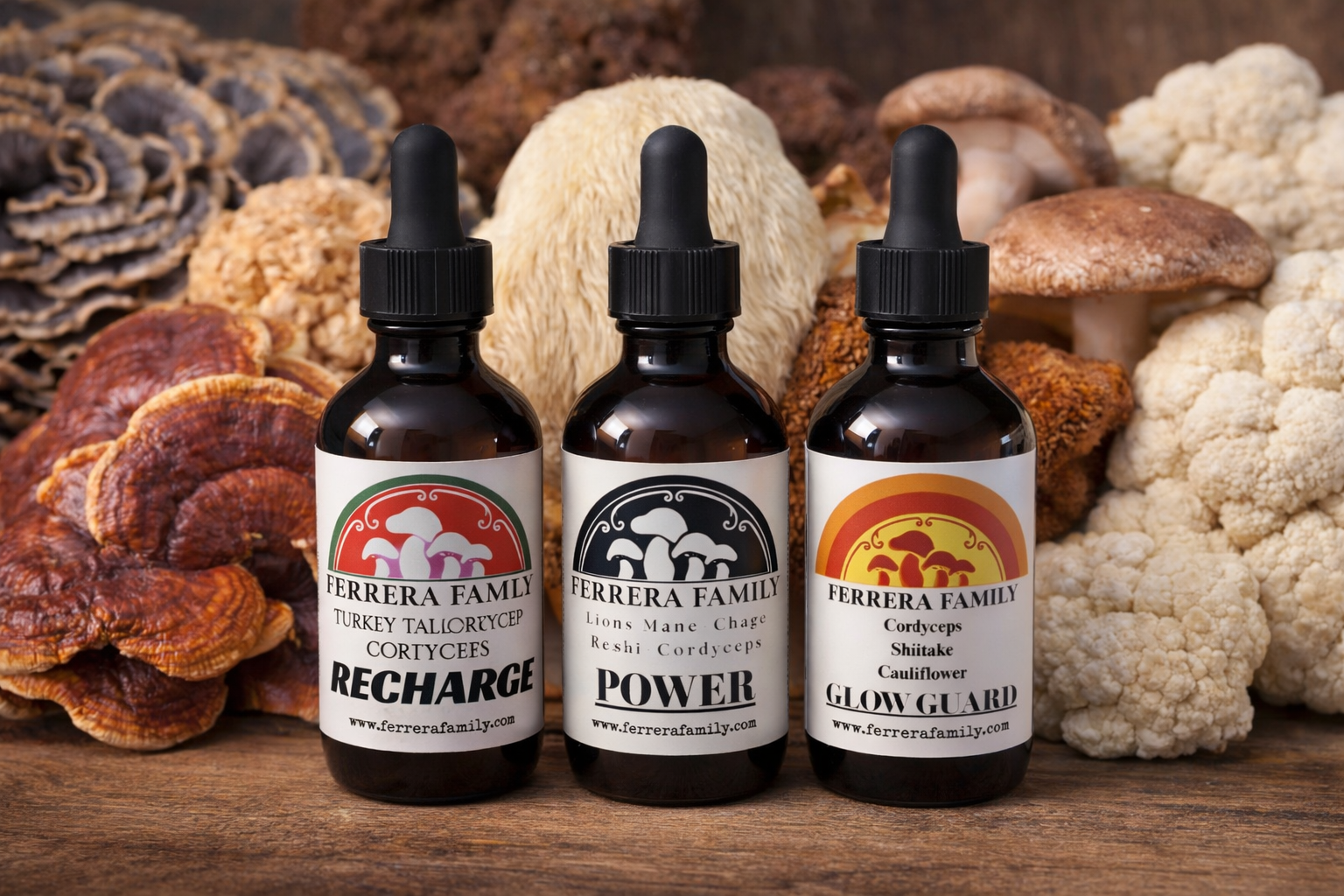 recharge glowguard power duel extracted small batch mushroom tincture starter bundle