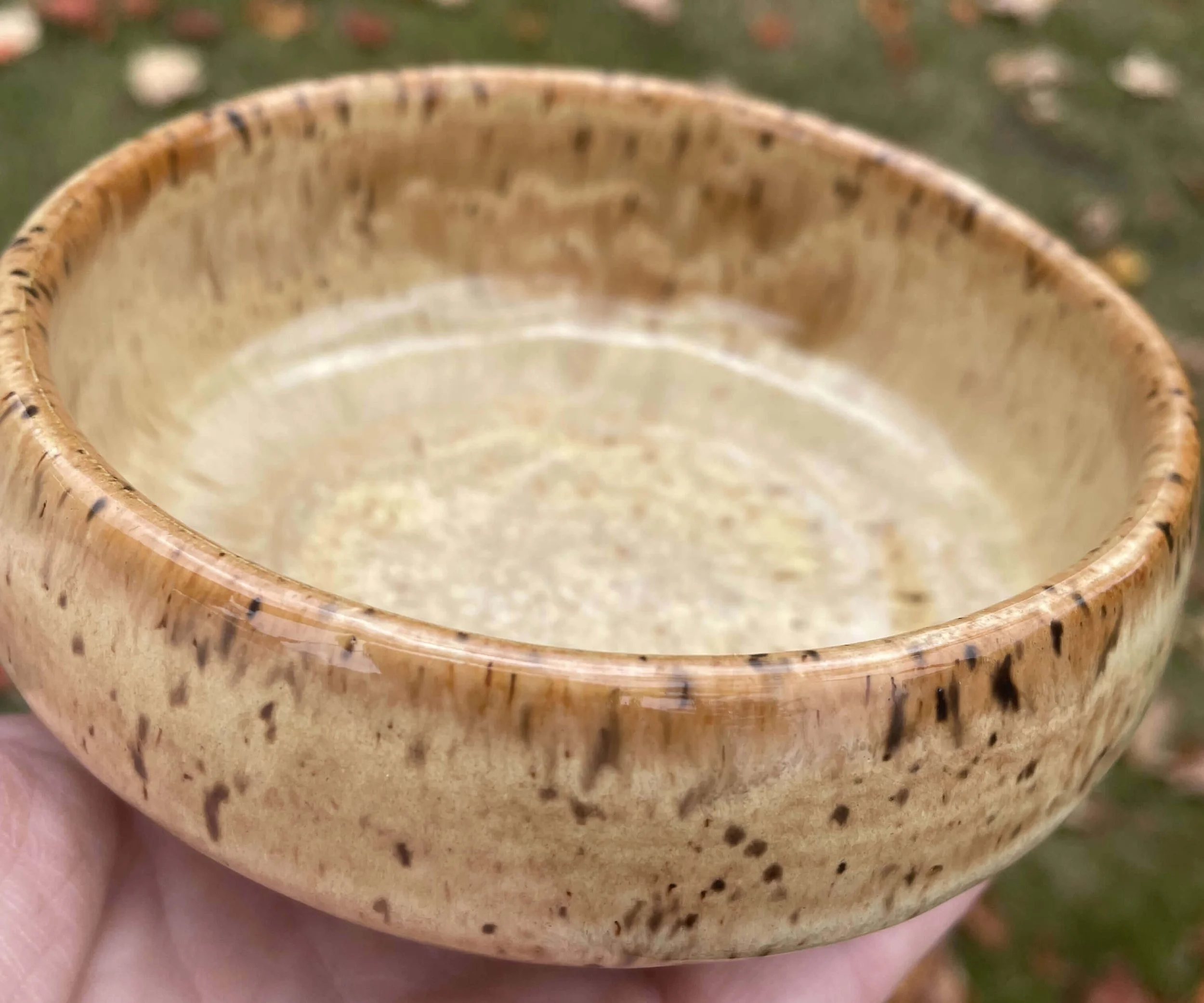 brown bowl albany slip.jpg
