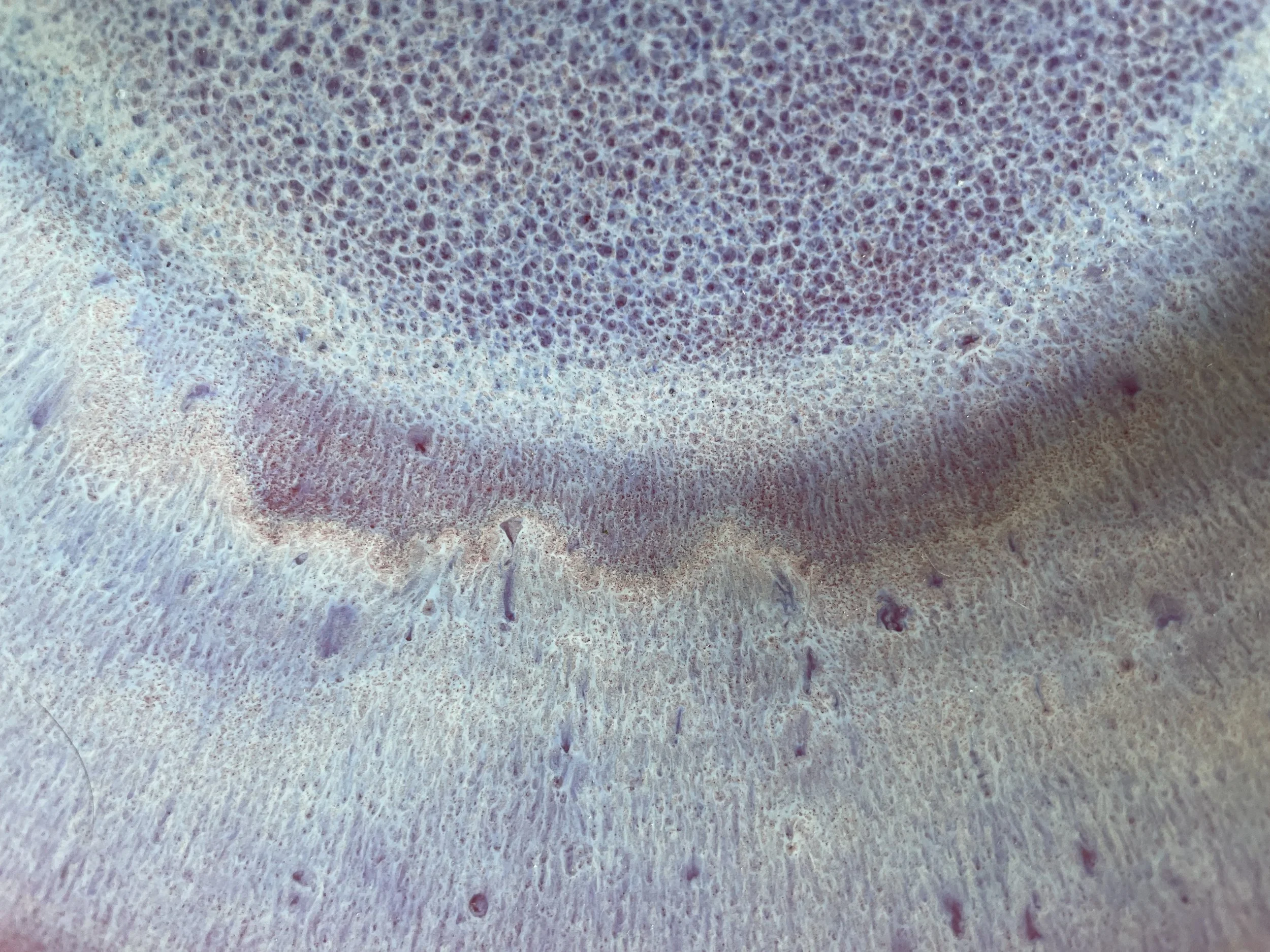 Sept26-pinkbowlcloseup.jpeg