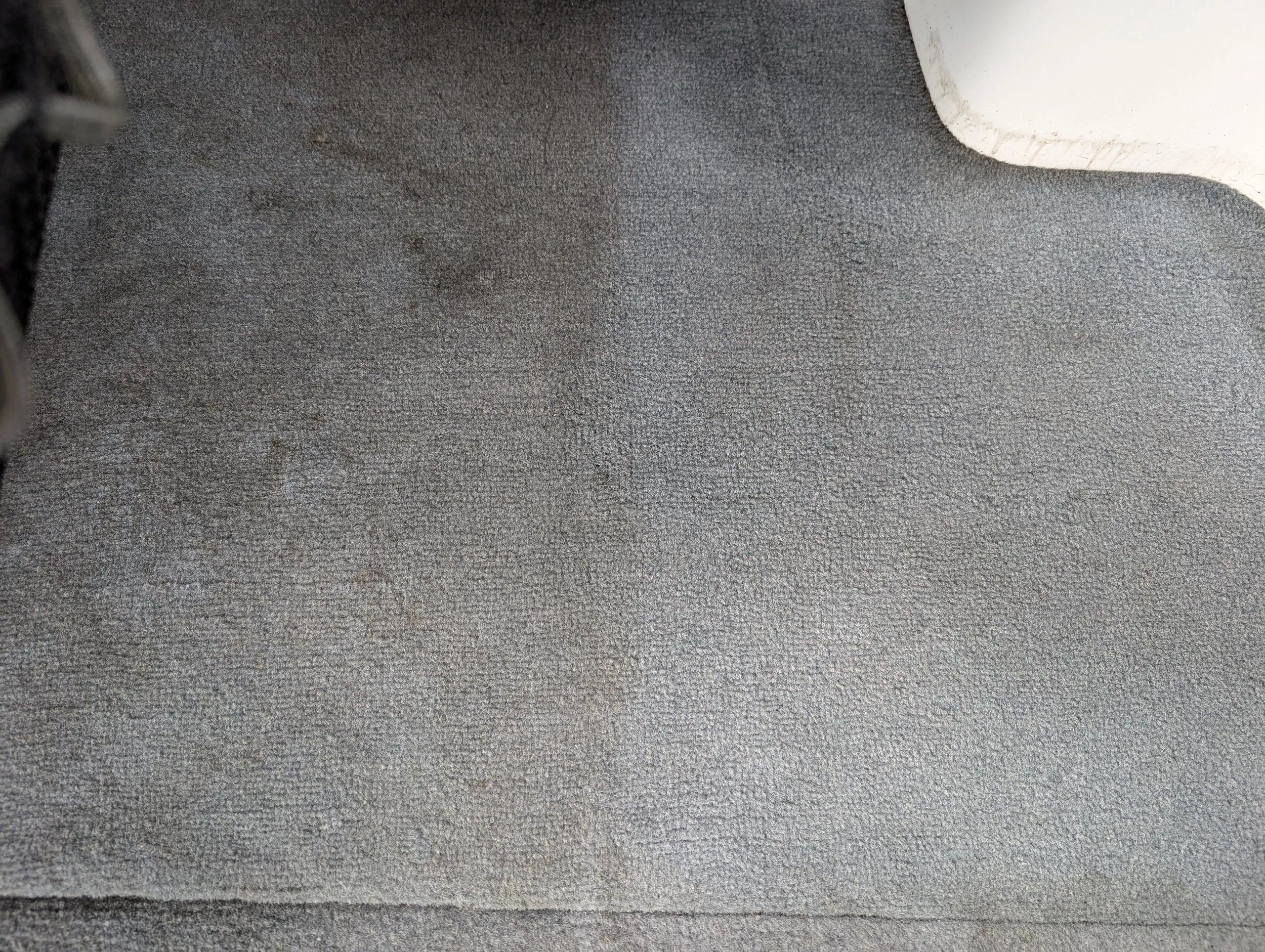 Close-up of a light gray textured carpet with a line dividing the cleaned from the original section.