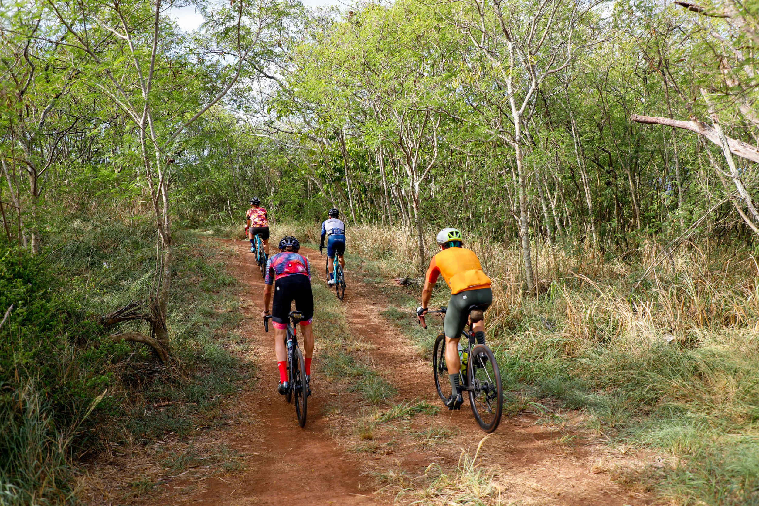 Cyclists riding on a dirt trail through a forest, surrounded by leafy trees and greenery. Aloha Gravel. Hawaii Bike Race. Hawaii Gravel Bike