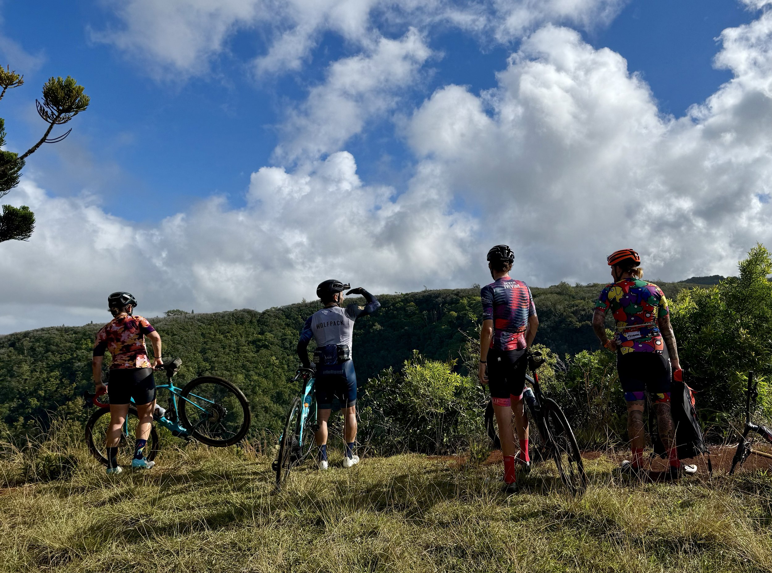 Four cyclists in colorful outfits standing on a grassy hill with bicycles, overlooking a scenic forested landscape under a blue sky with clouds. Aloha Gravel. Hawaii Bike Race. Hawaii Gravel Bike