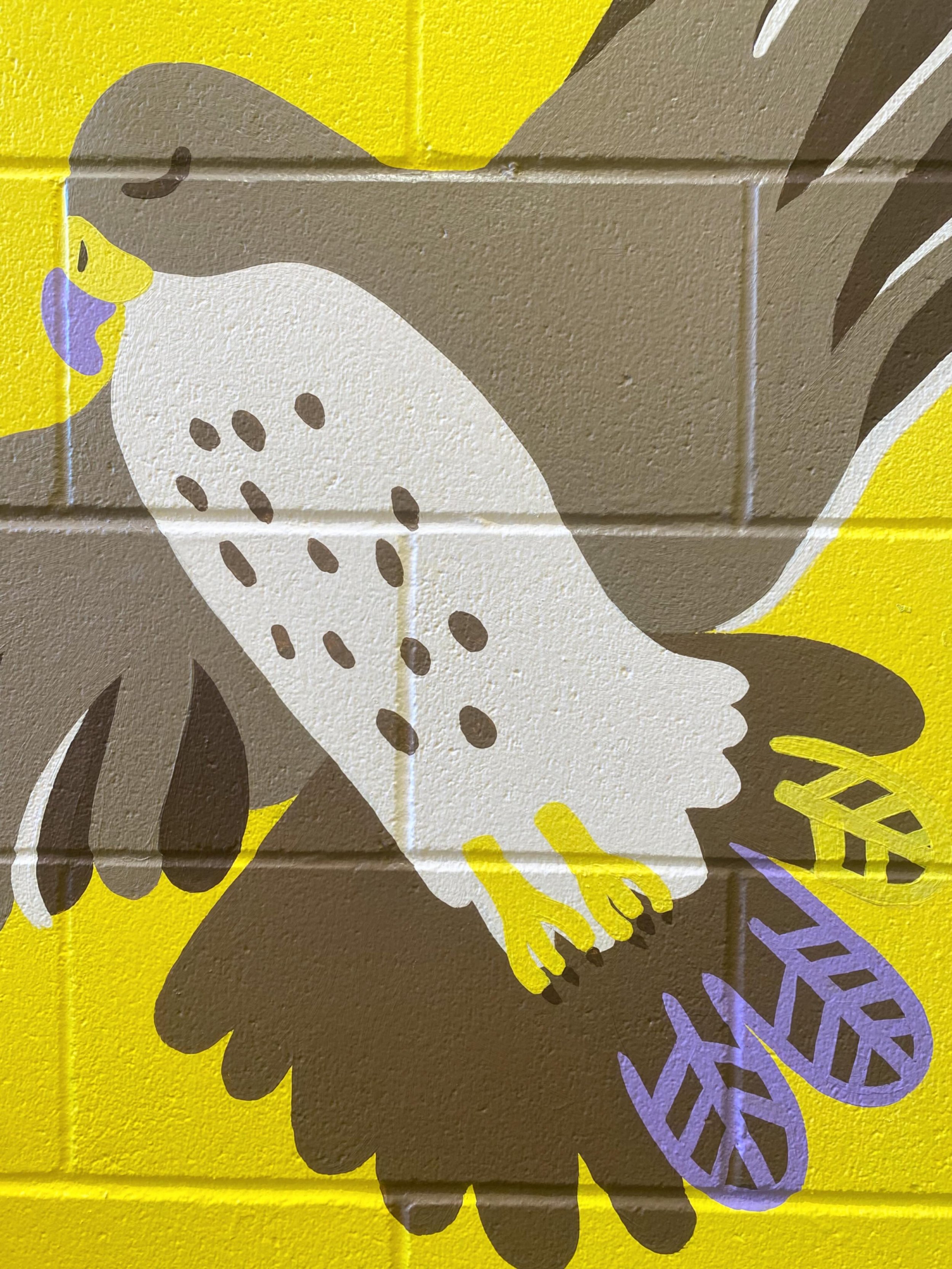 A little close up of this fella. Clean lines on this type of surface are seriously rewarding ⭐️