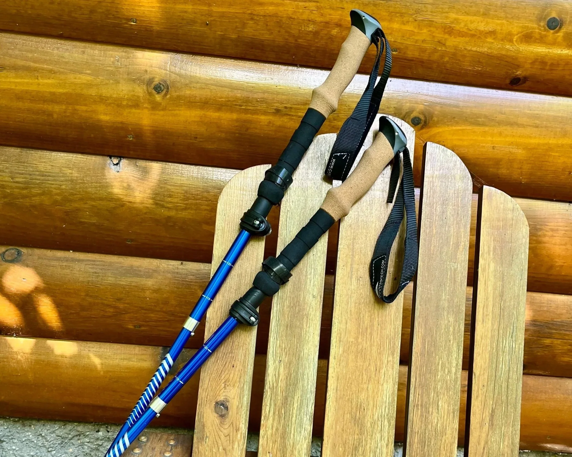 Foraging hike canceled 