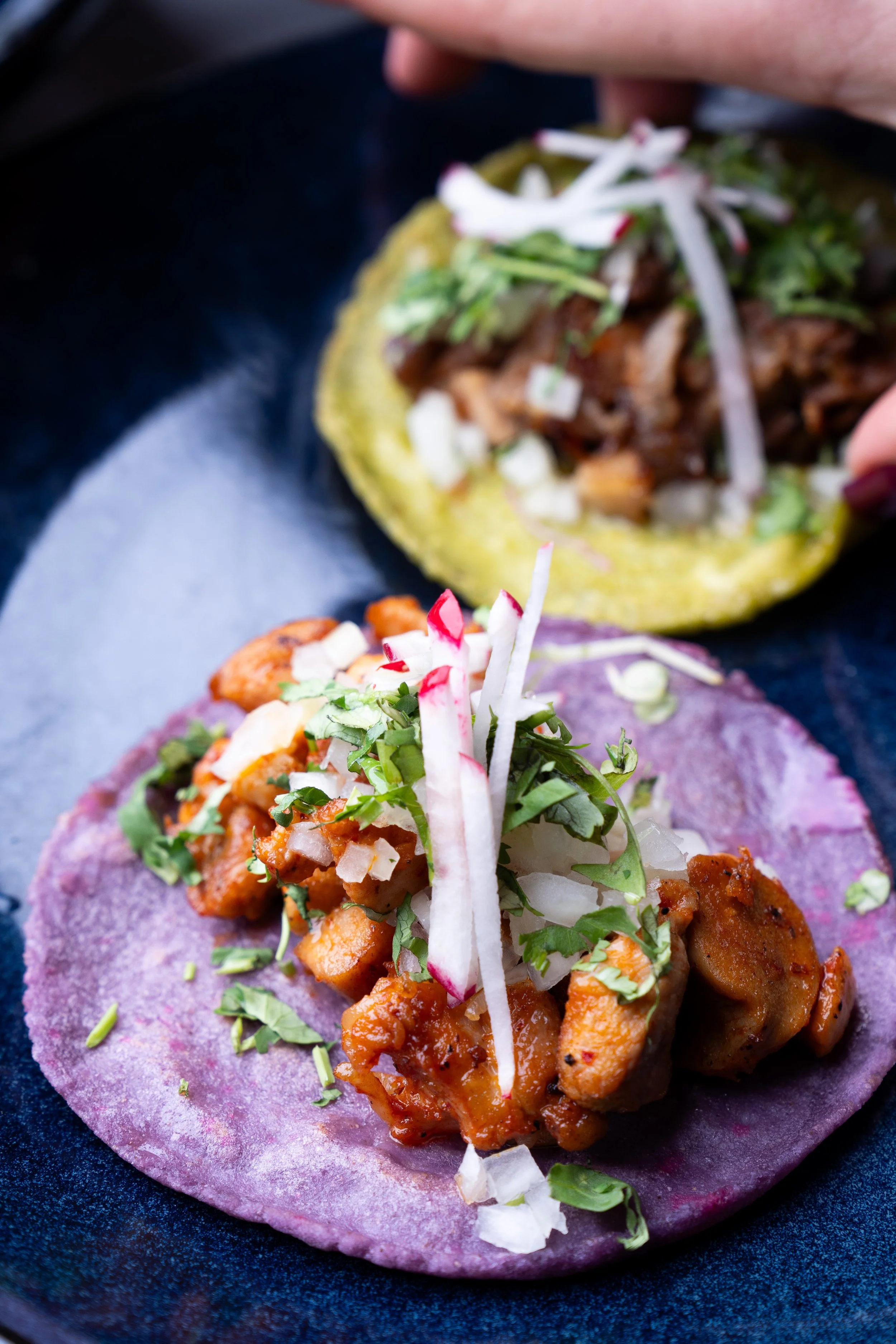 Copy of TACOSHI- TACOS-2.jpg