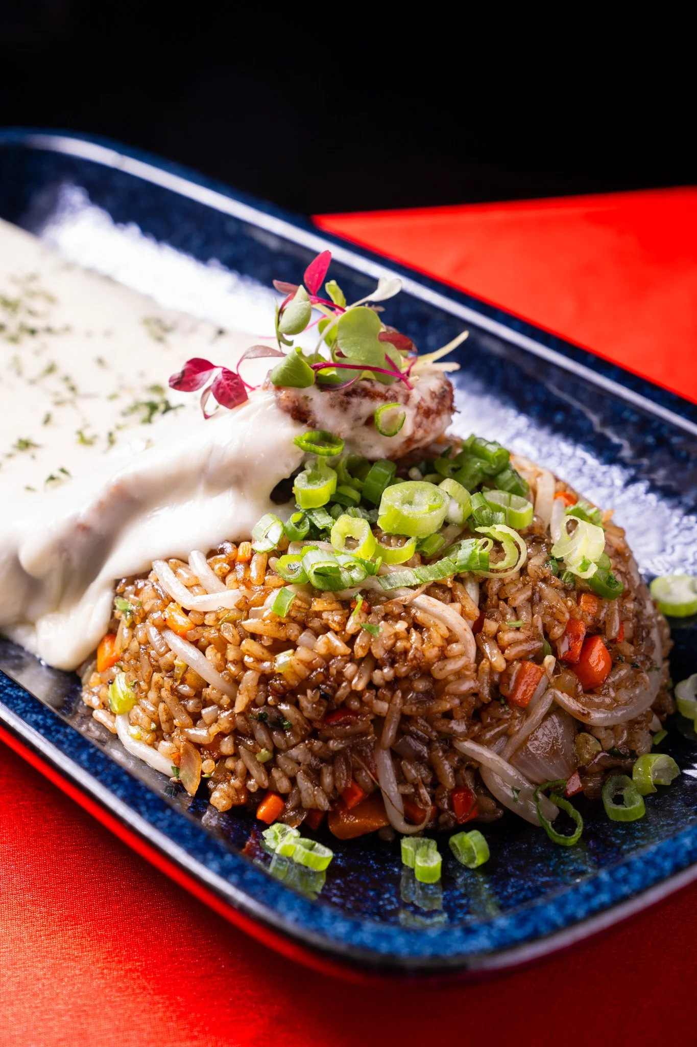 Copy of TACOSHI-CHICKEN-1.jpg