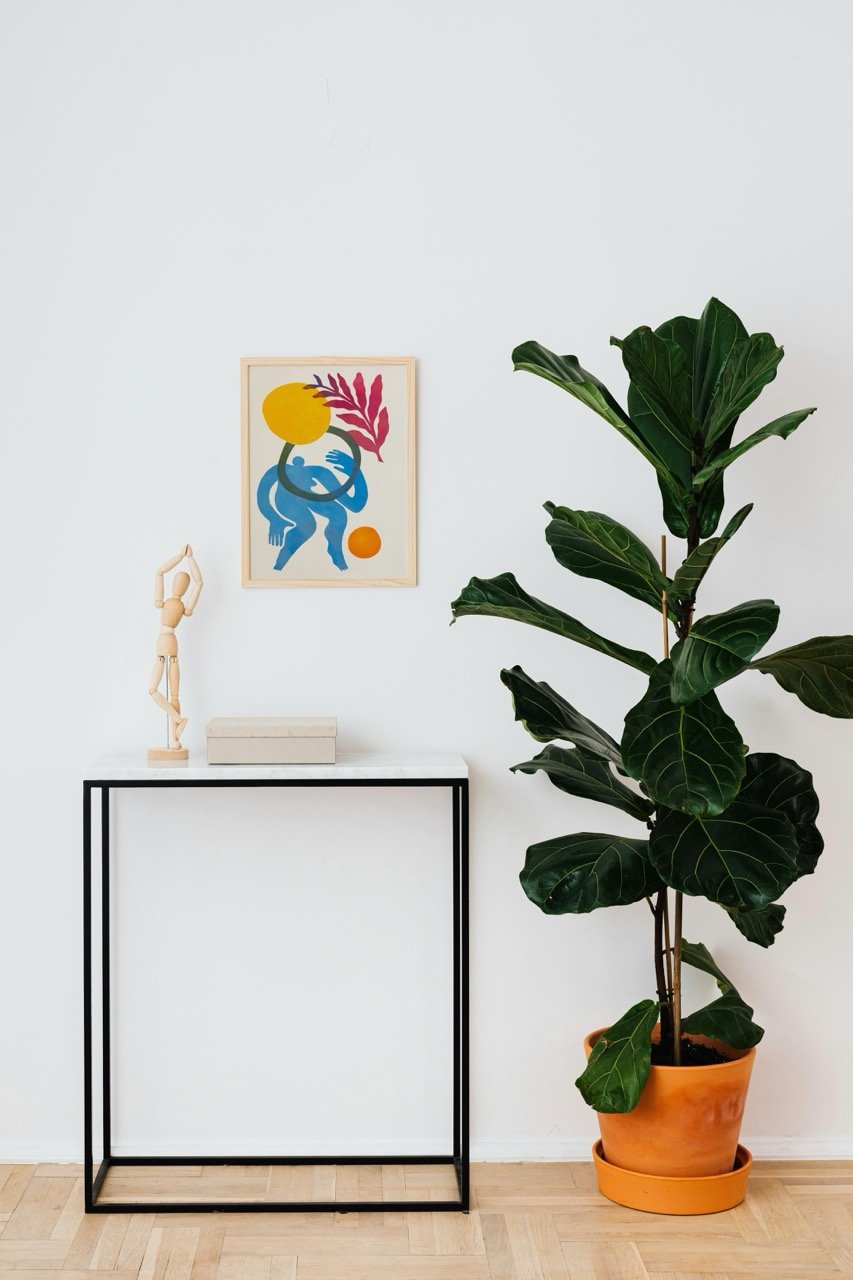 Print styled in a frame hanging above a small side table. Fiddle leaf fig tree depicted to the right.