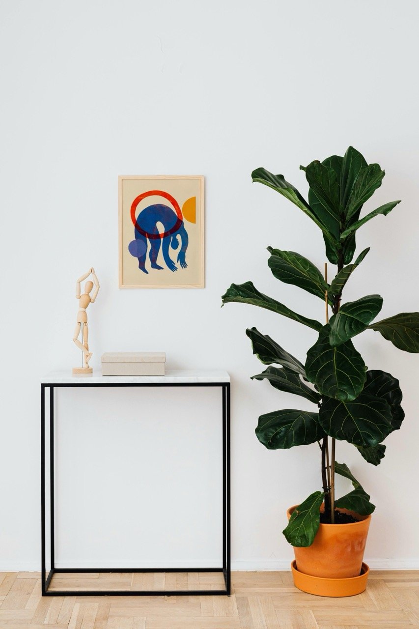 Styled photo of Primary Bend in a frame hanging on the wall.