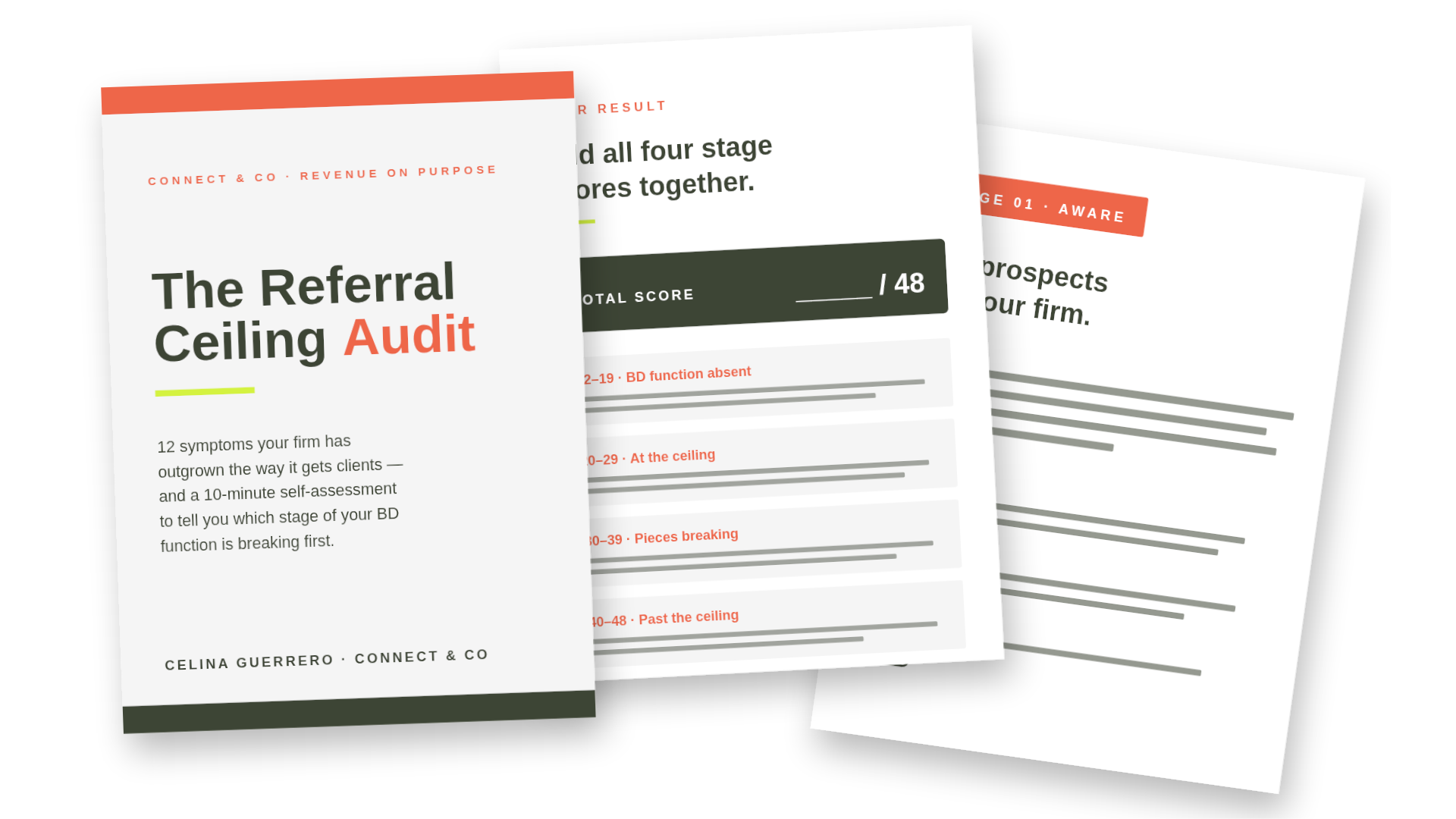 Referral Ceiling Mockup
