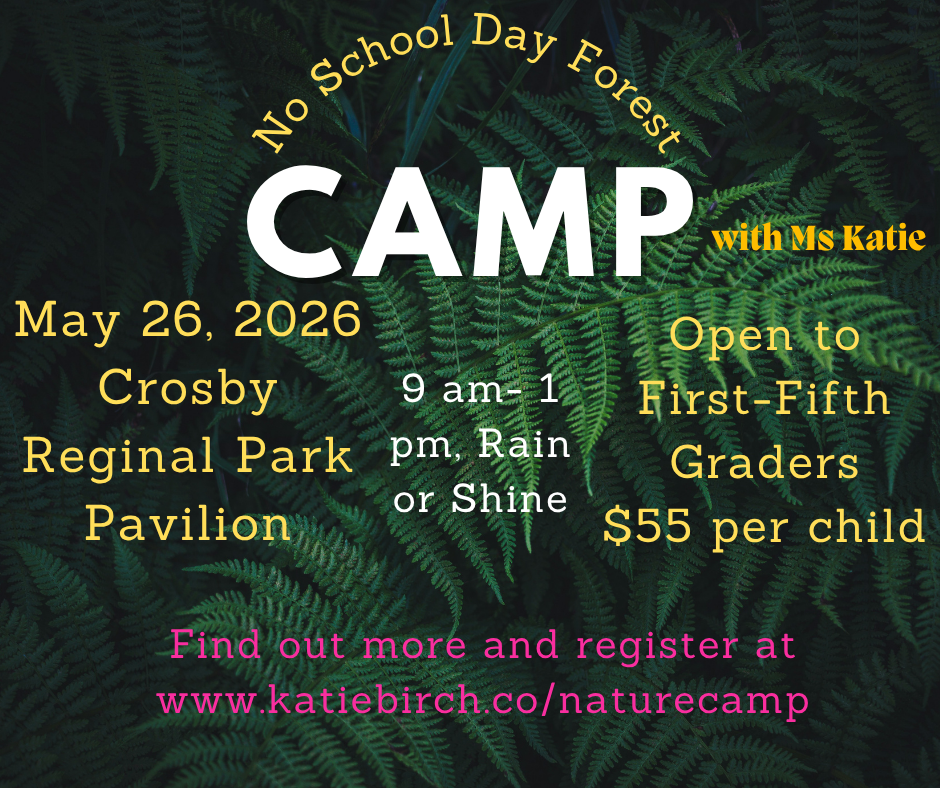 No School Nature Camp
