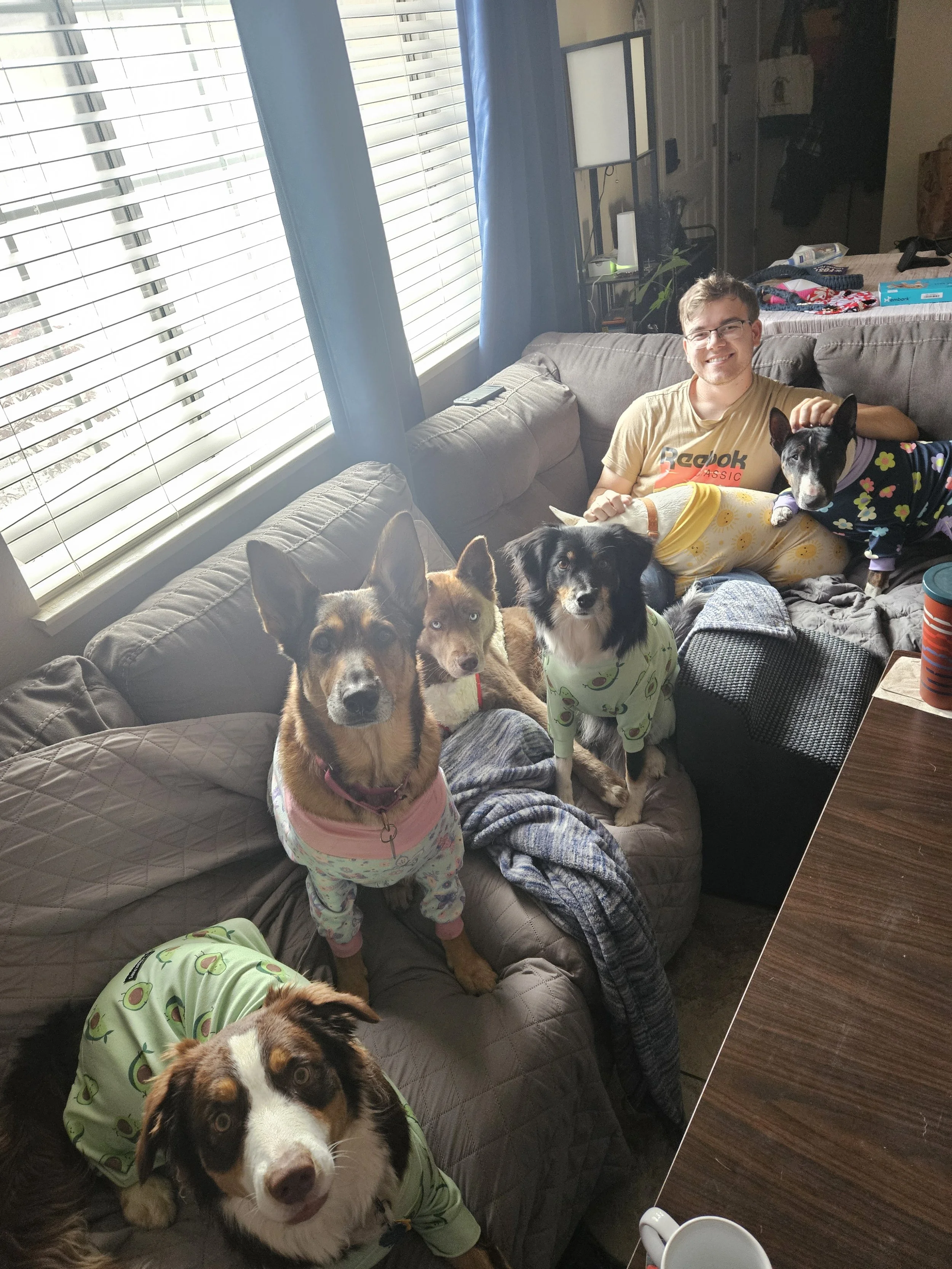 A man sitting on a gray sectional sofa with five dogs, all wearing colorful pajamas, in a living room with large windows and blinds.