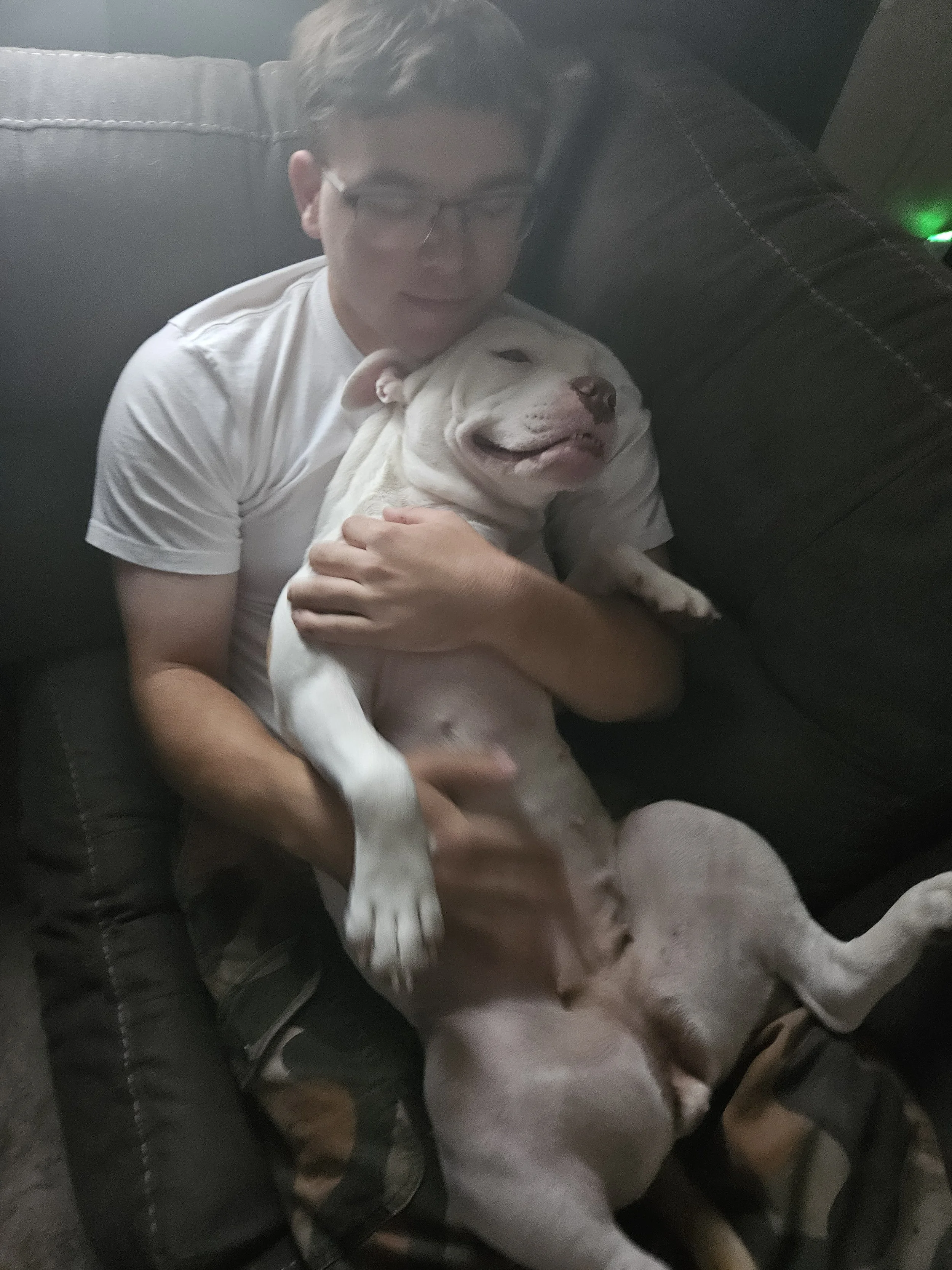 A person wearing glasses and a white t-shirt sitting on a black couch, hugging a large, white dog that is lying on its back with a happy expression.