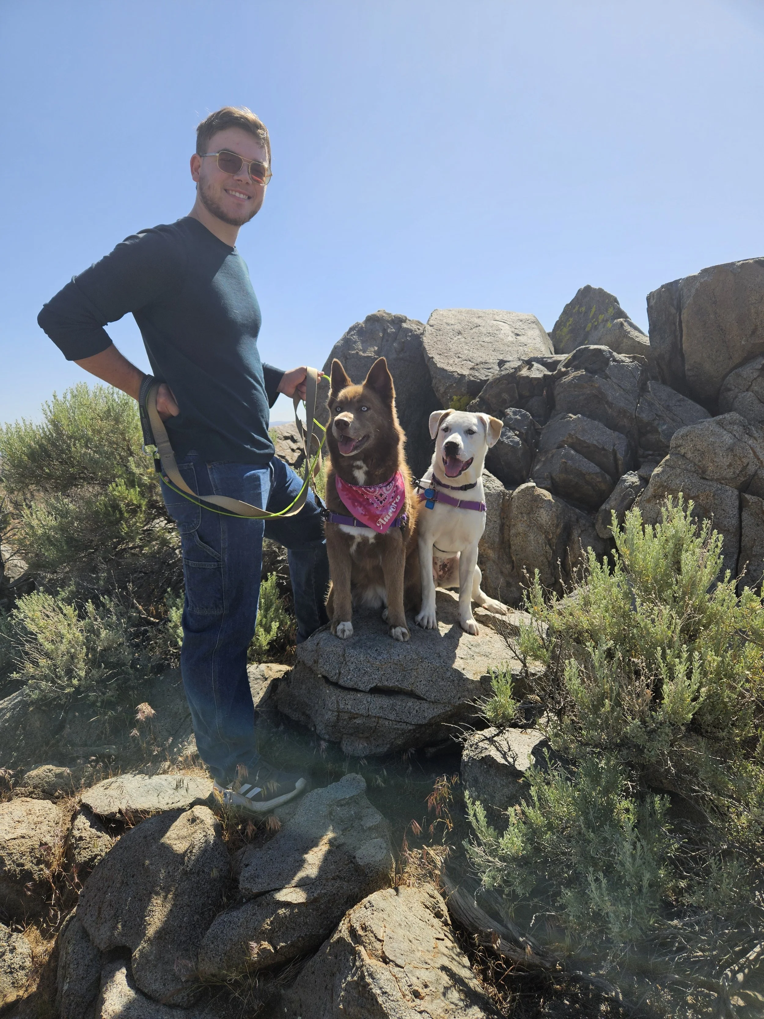 A man with sunglasses, wearing a dark blue long-sleeve shirt and jeans, stands outdoors on rocks with two dogs, one brown with a pink bandana and one white, both sitting on a large rock, with bushes and rocks around them under a clear blue sky.
